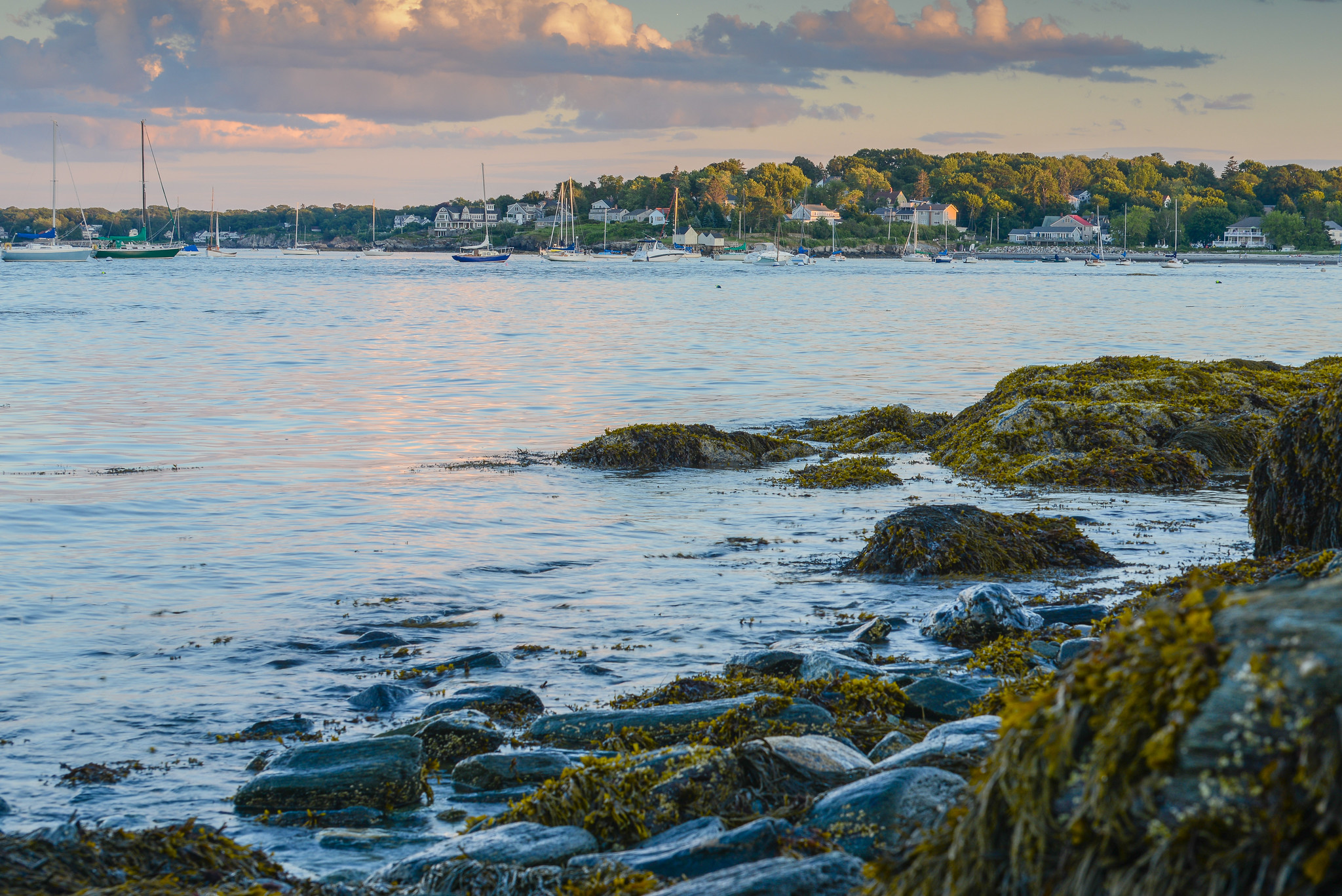 Willard Beach