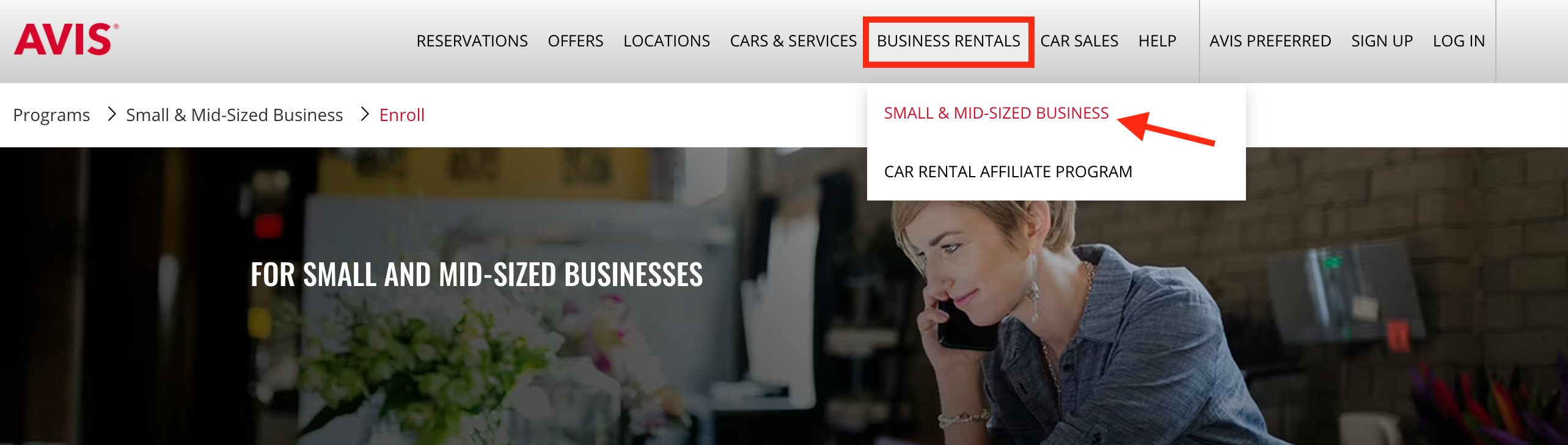 Avis for Business