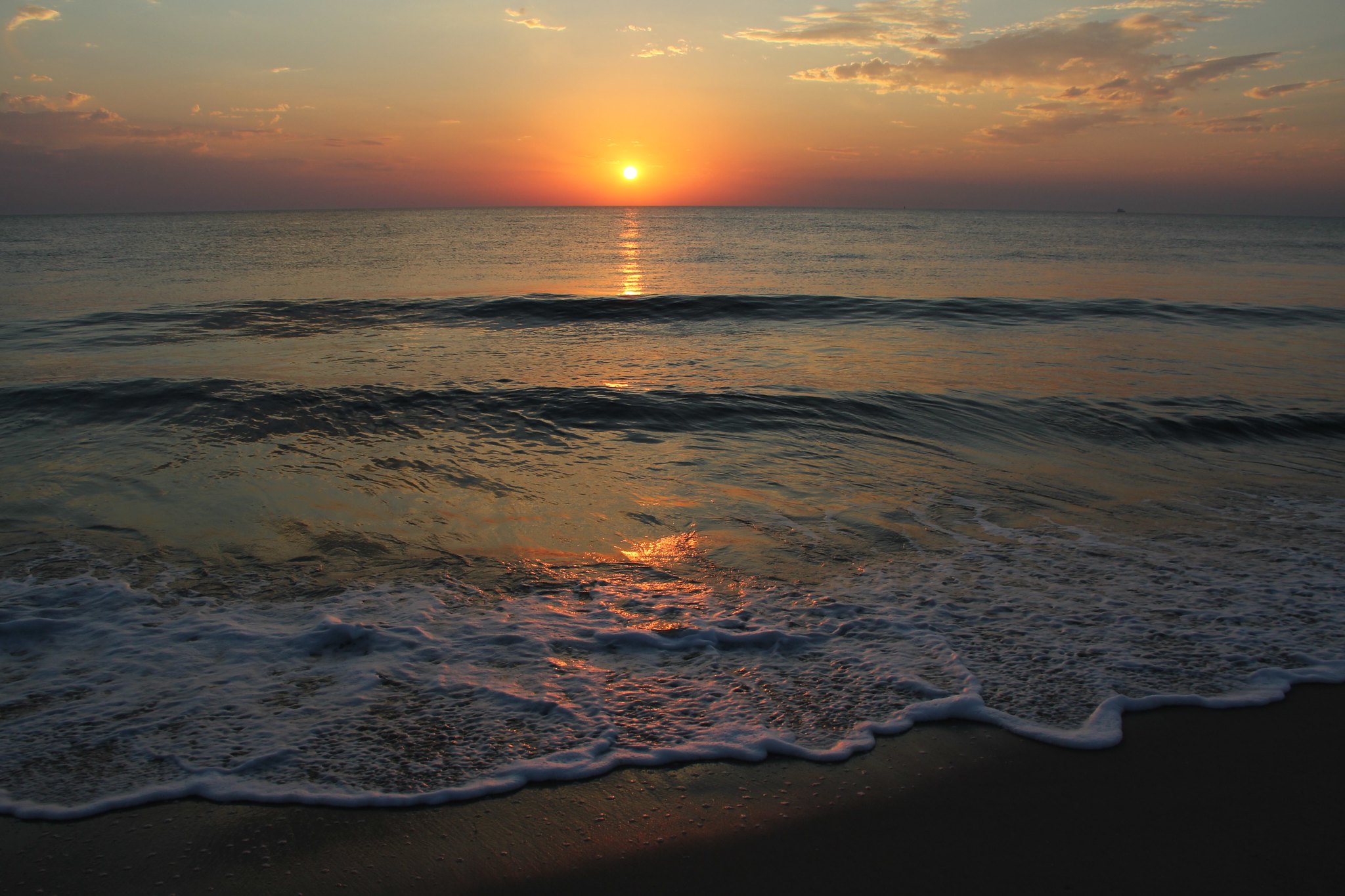 Cape Henlopen State Park