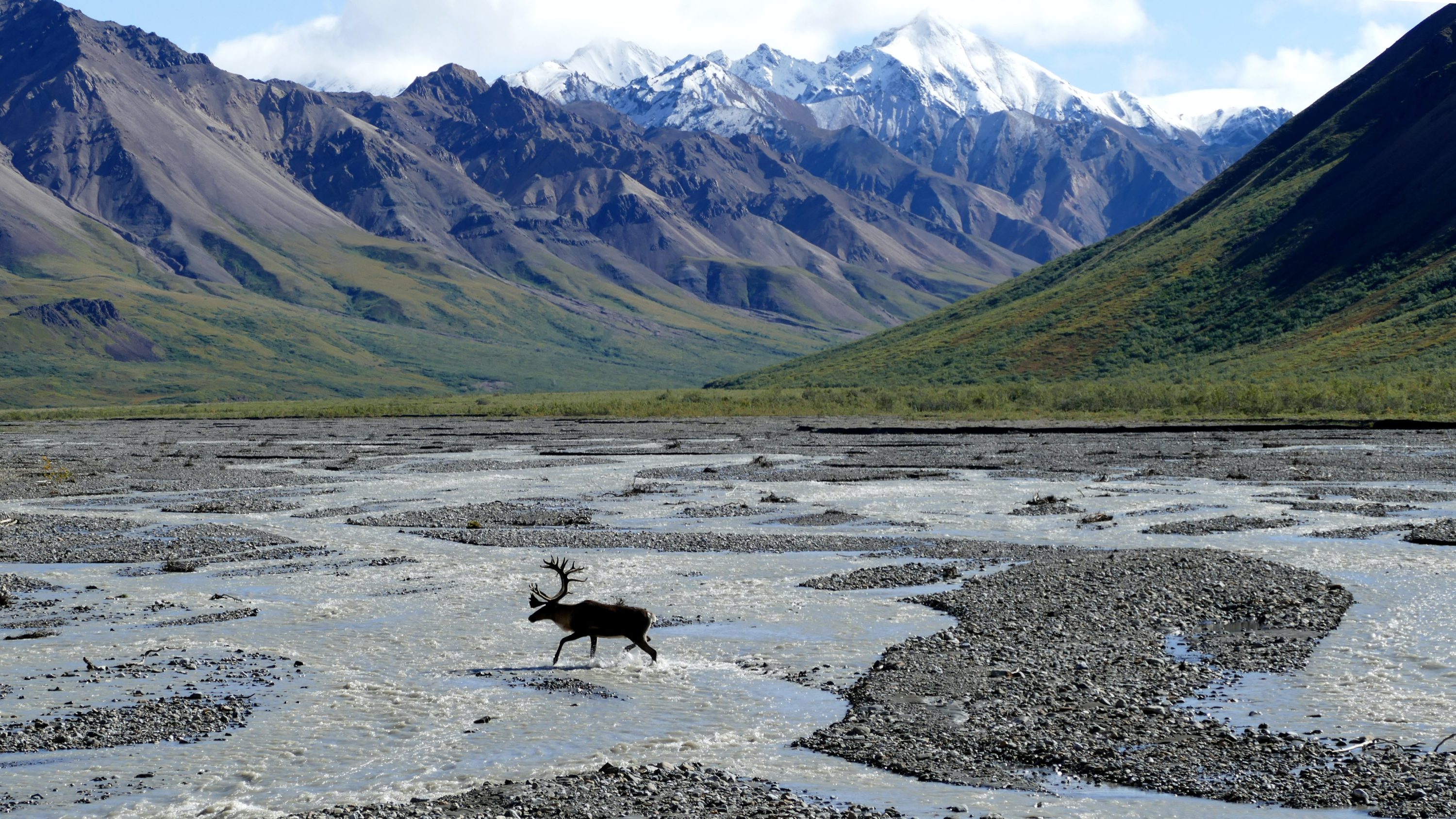 Denali National Park Alaska U.S.