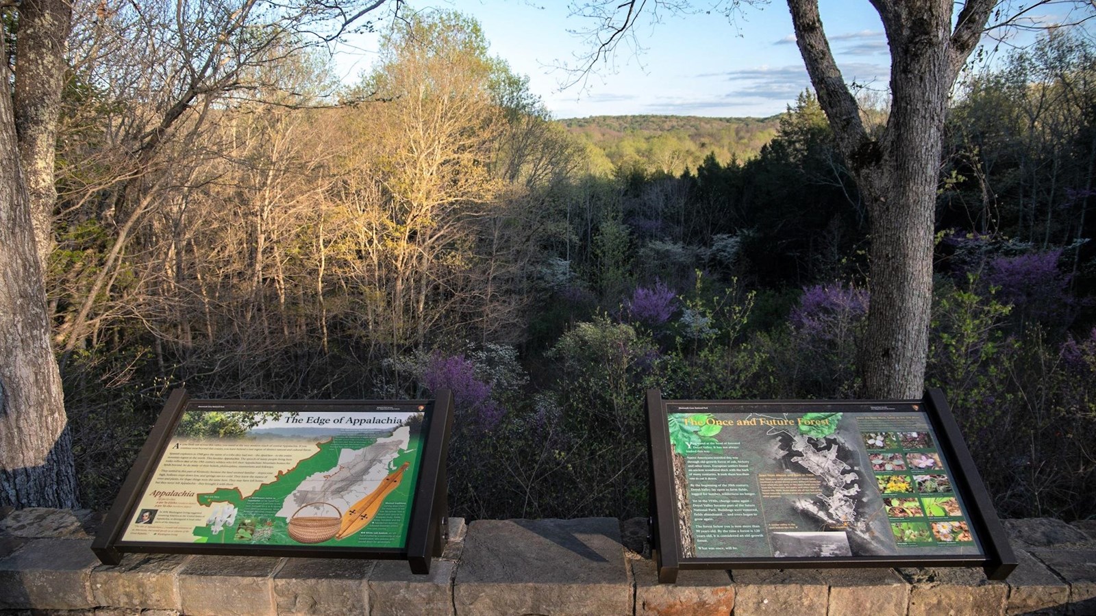 Doyel Valley Overlook