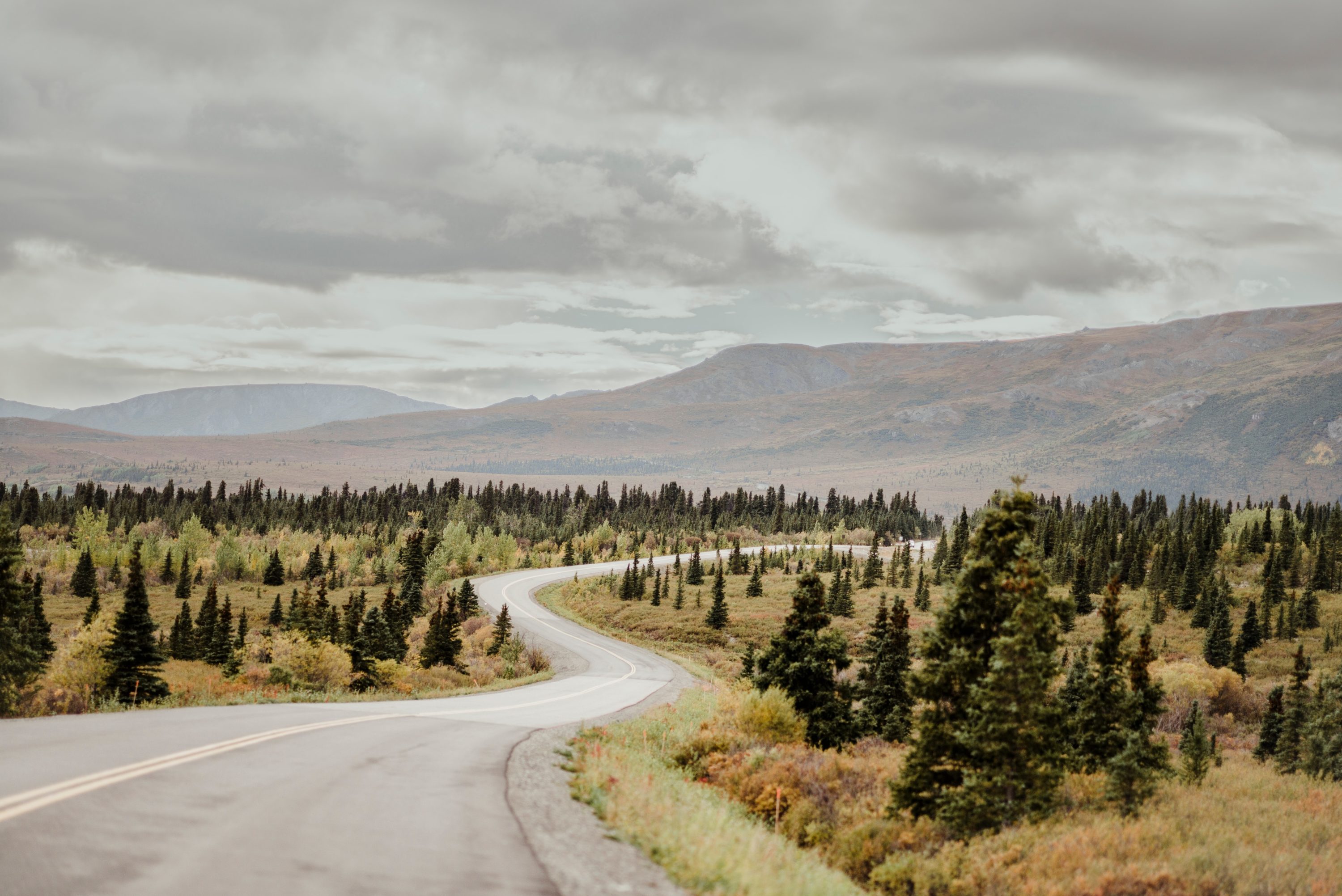 Driving to Denali National Park and Preserve
