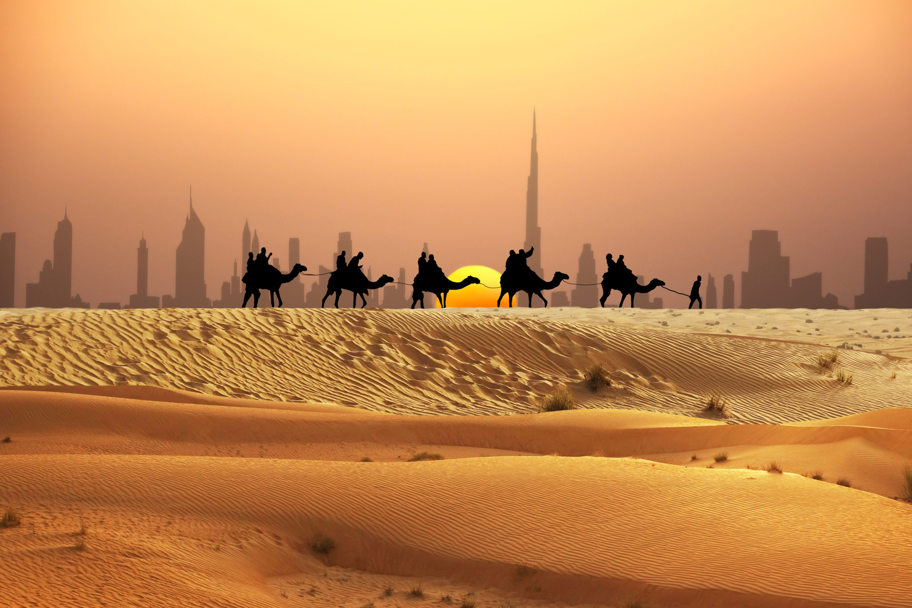 Dubai at sunset with camel caravan