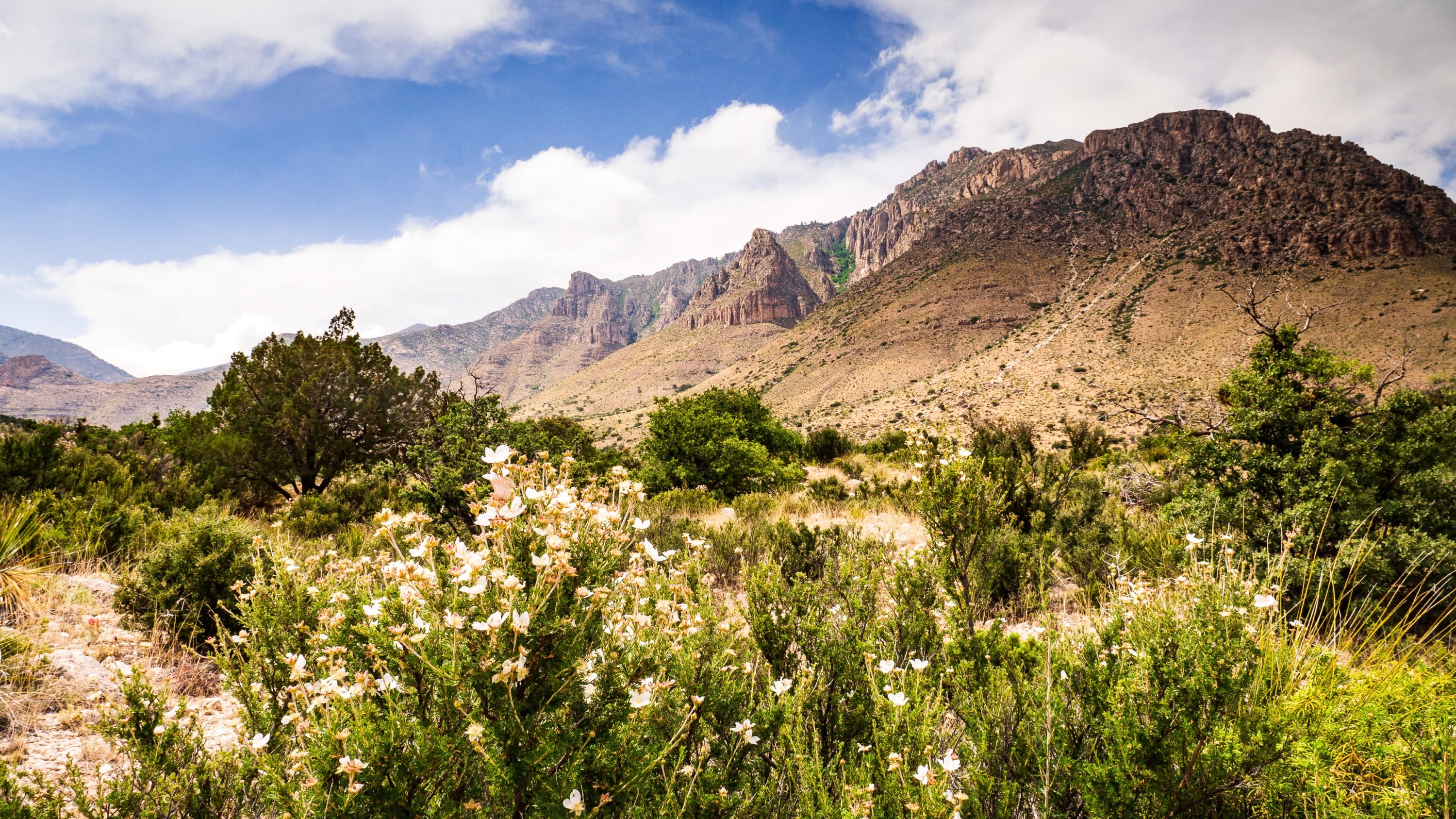Guadalupe Mountains National Park Texas