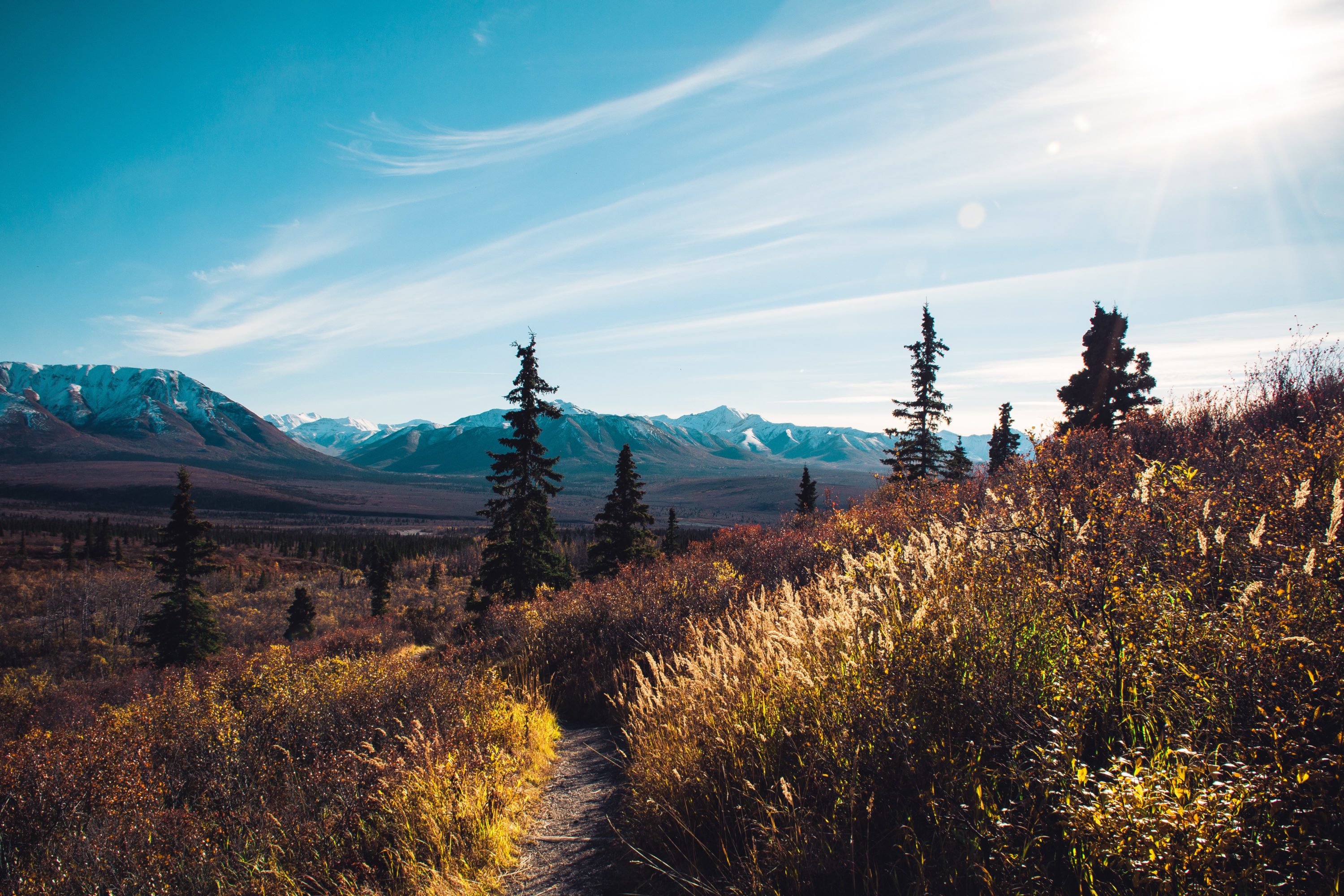 Hiking at Denali National Park and Preserve