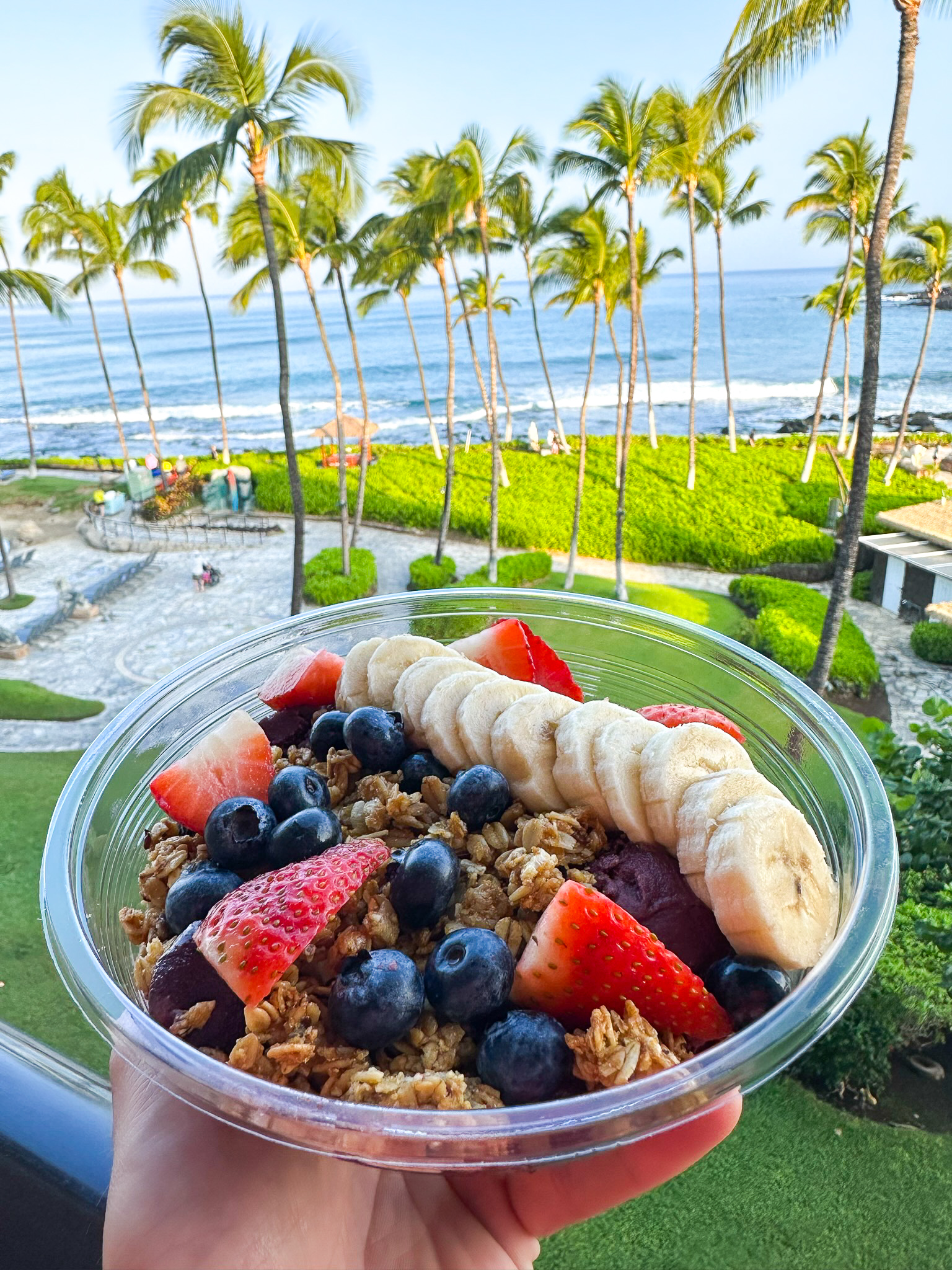 Hilton Waikoloa Village acai