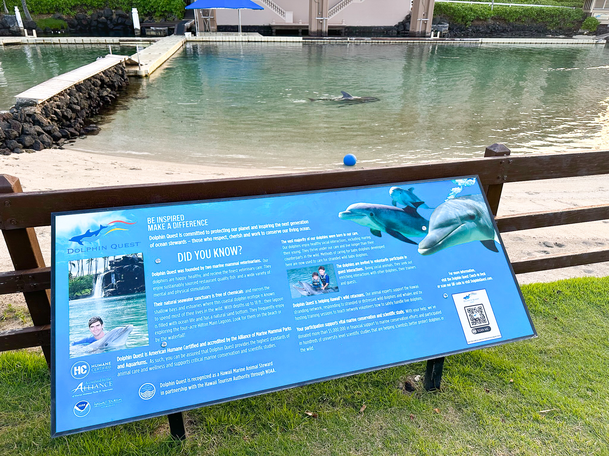 Hilton Waikoloa Village dolphin sign