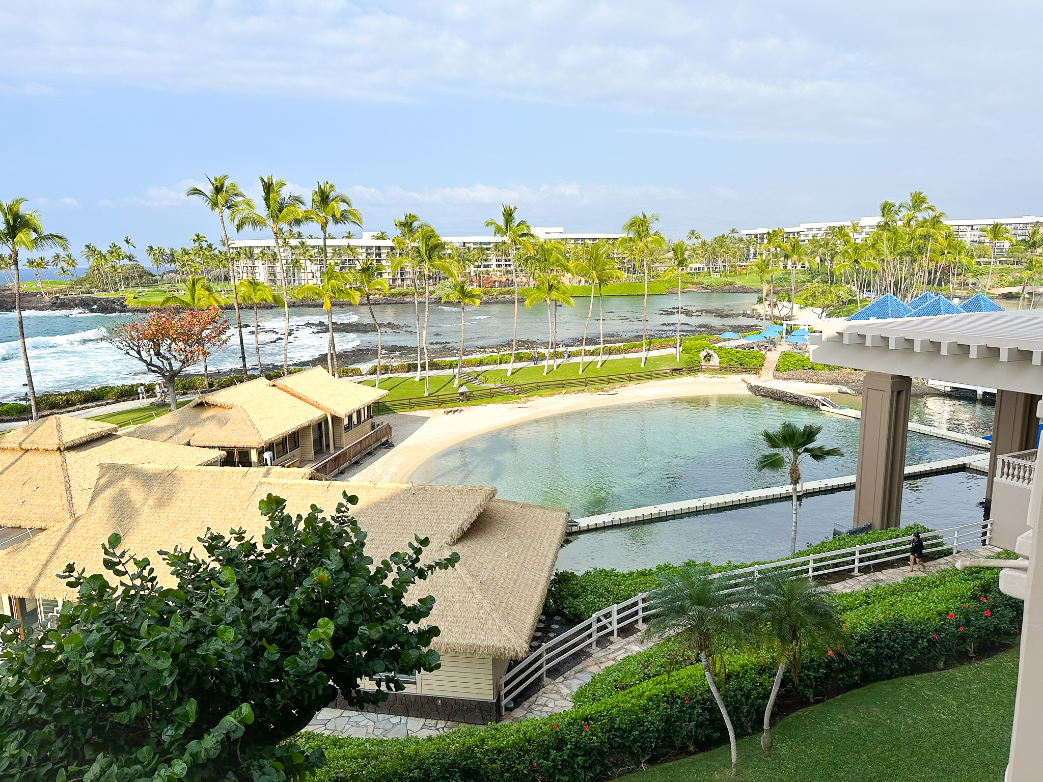 Hilton Waikoloa Village dolphin view