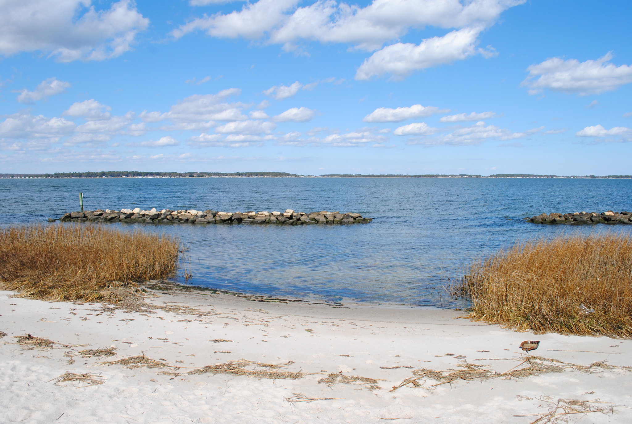 Holts Landing State Park
