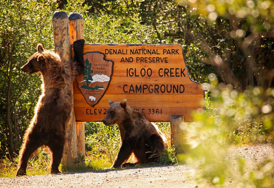 Igloo Creek Campground