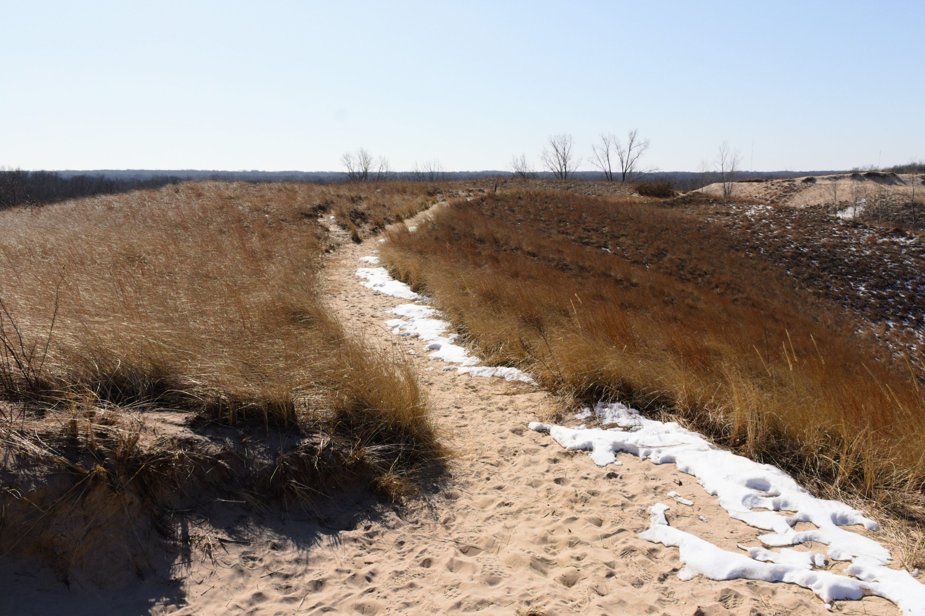 Indiana Dunes National Park for Hiking