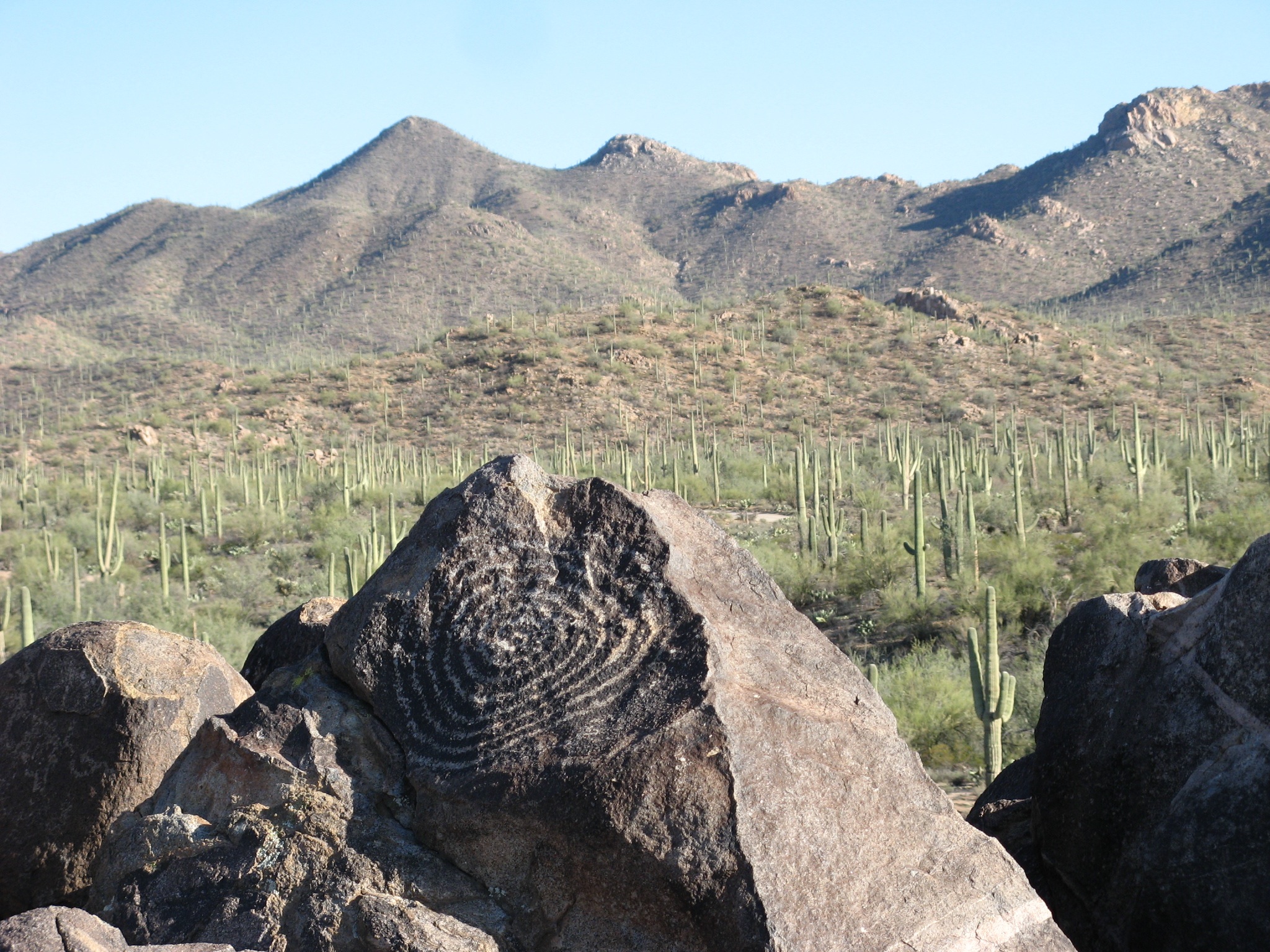 Petroglyph on Signal Hill