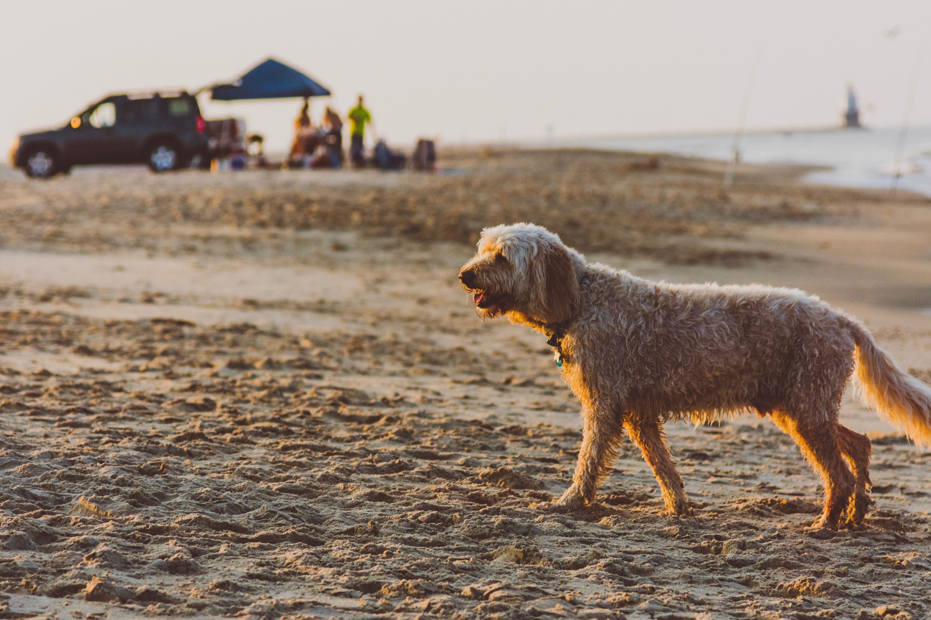 Rehoboth Beach