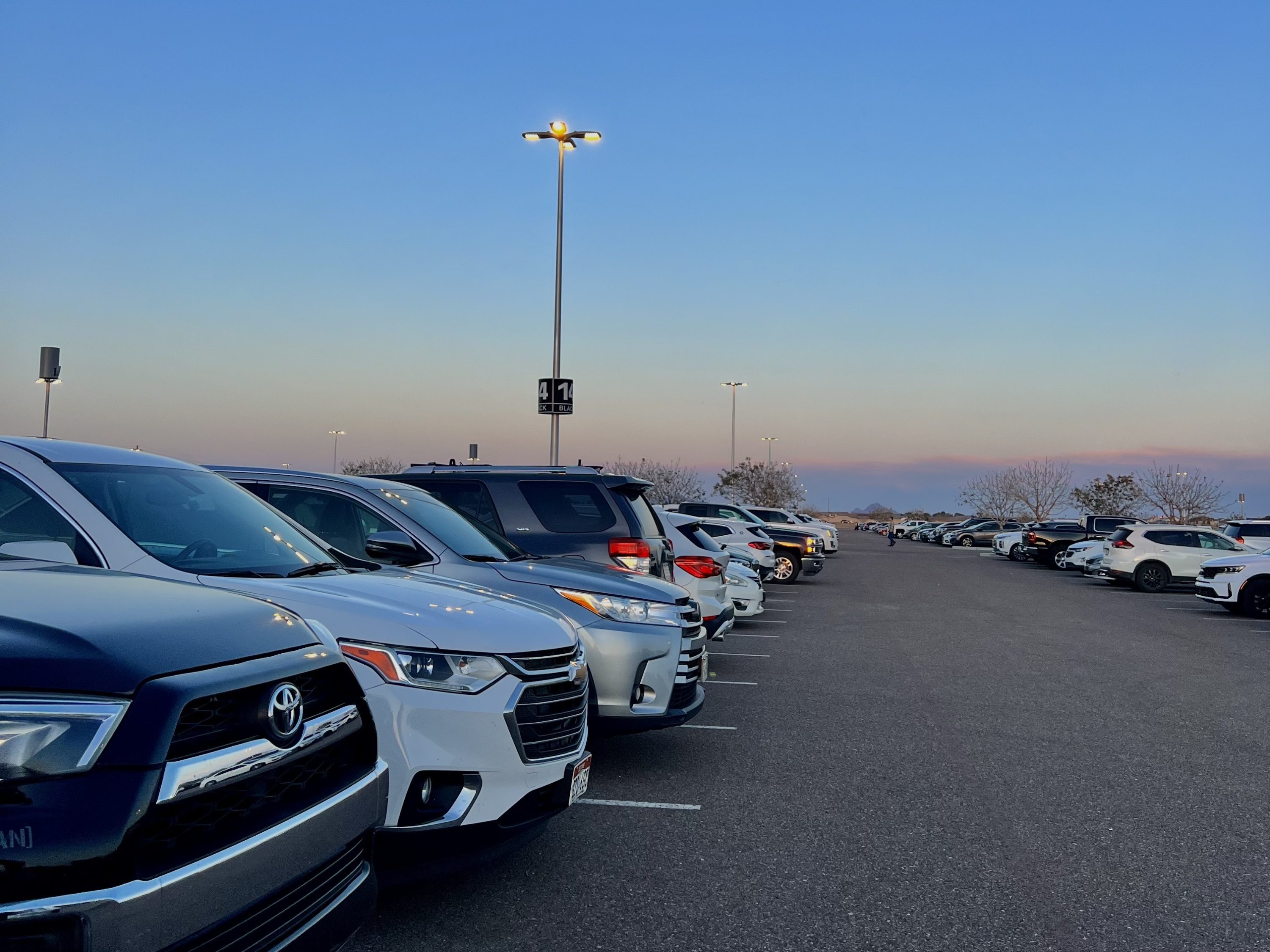 Rental Cars