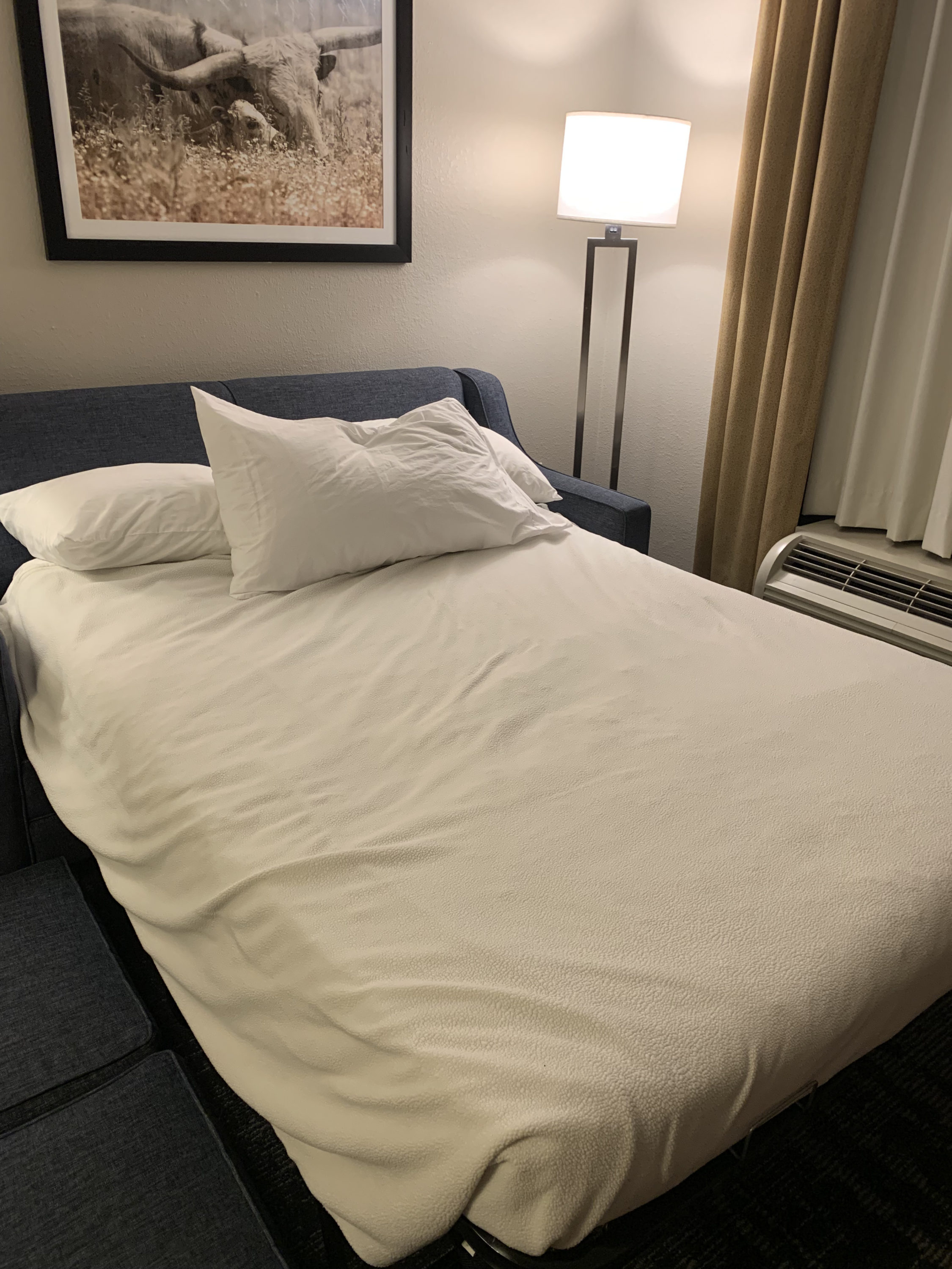 Sofa bed at Homewood Suites Austin Round Rock