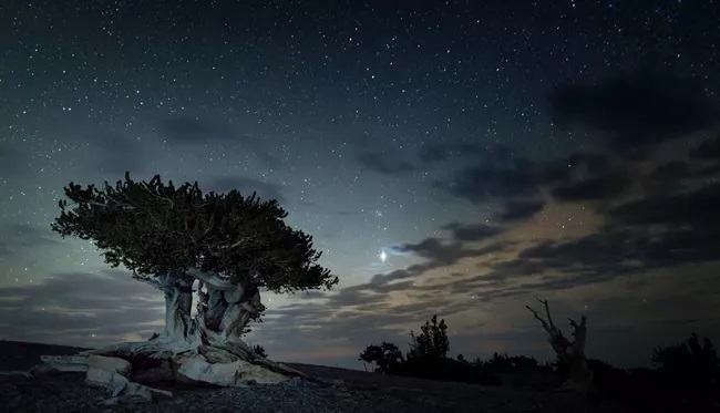 Stargazing Great Basin National Park