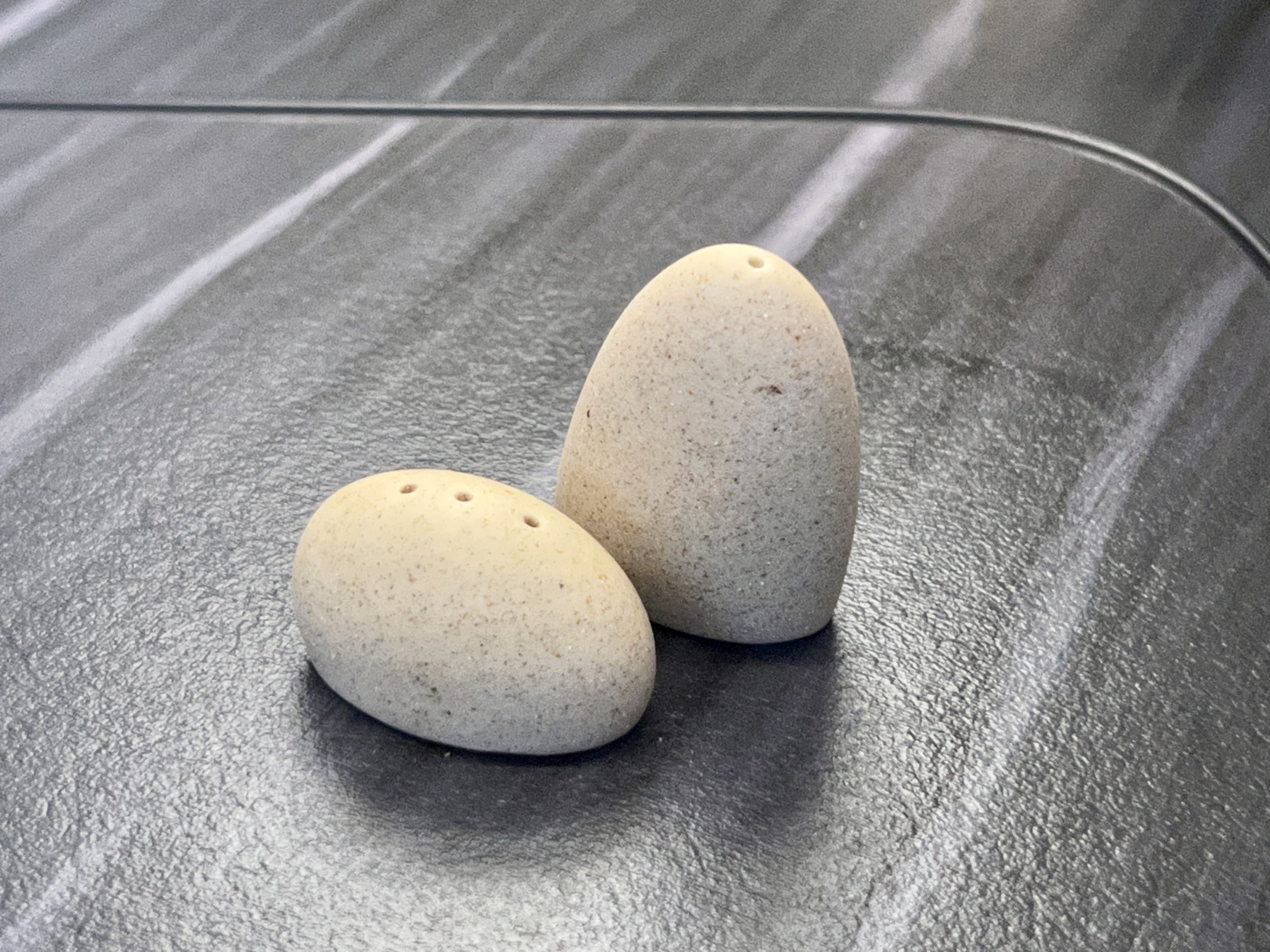 Starlux A359 Business Class salt and pepper shakers