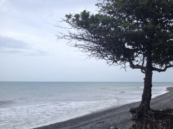 Almond Beach