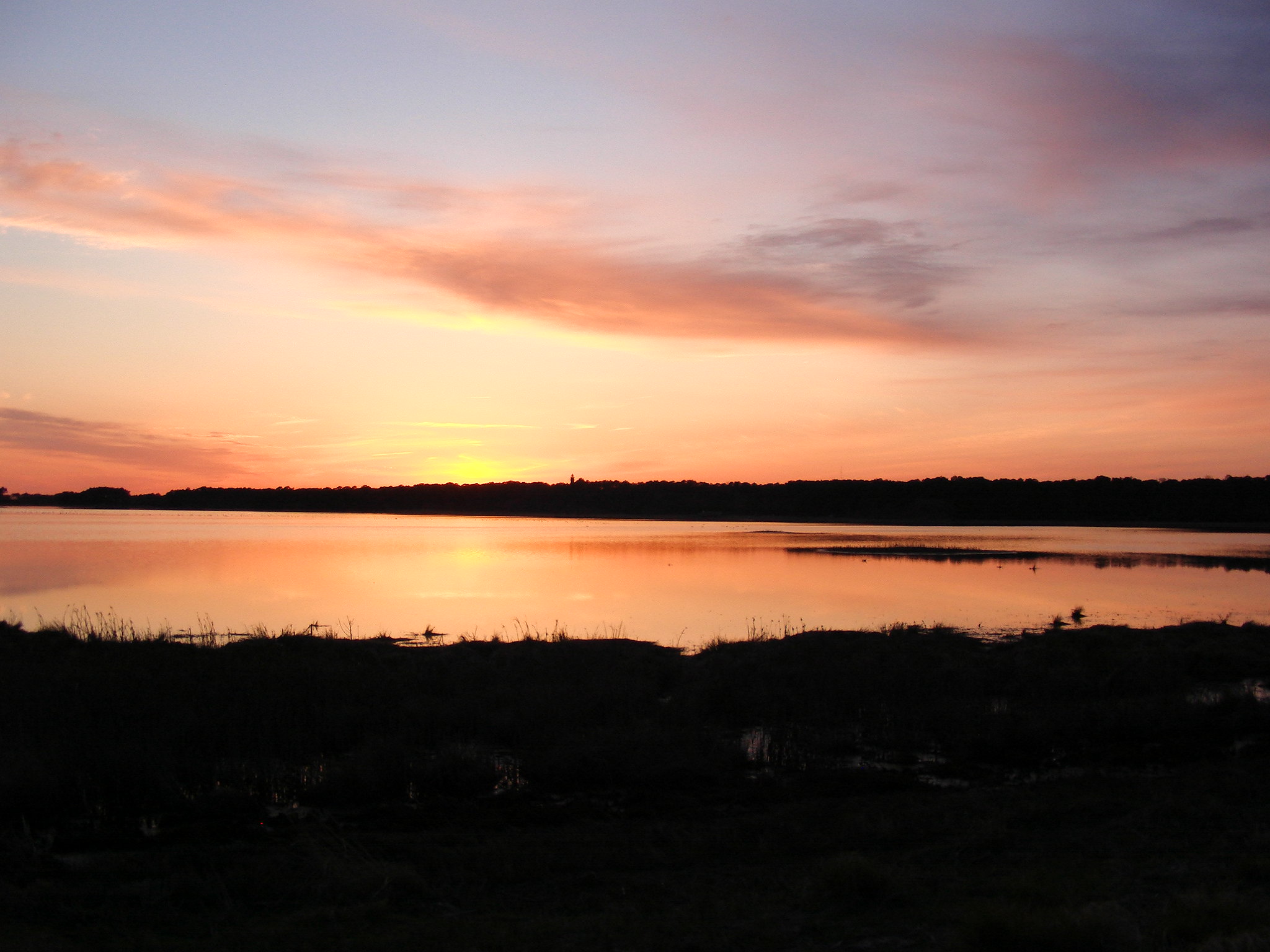 Assateague Island