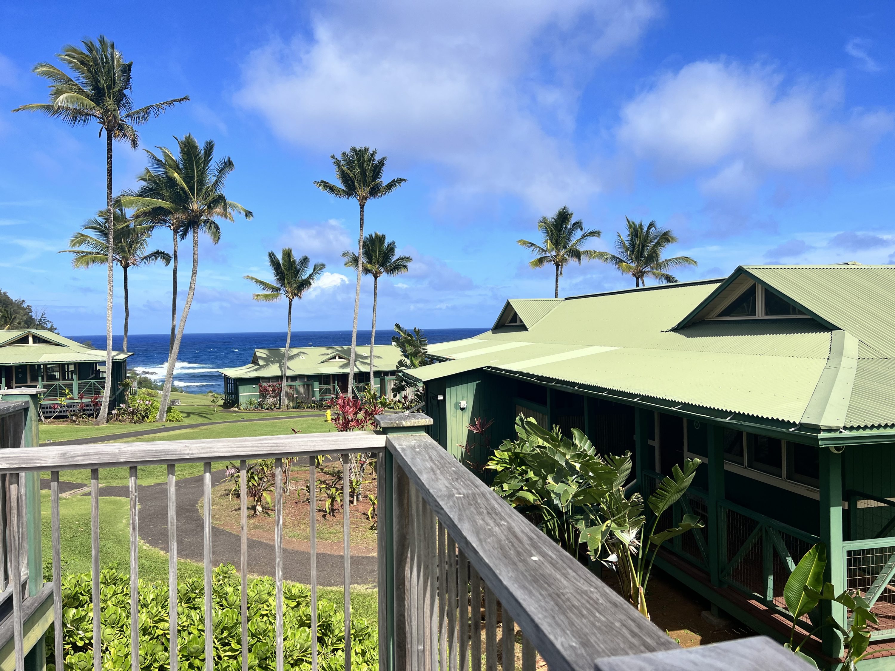 Beautiful Day at Hana maui Beautiful Day at Hana maui