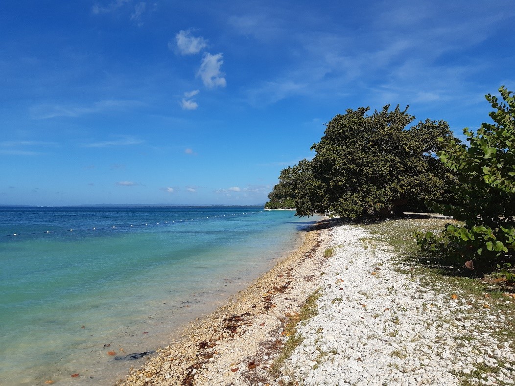 Bluefields Beach