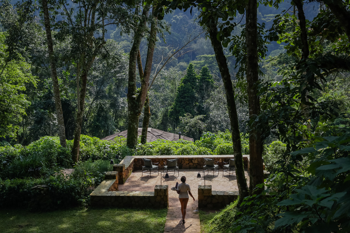 The view from Bwindi Lodge by Volcanoes Safari in Uganda.