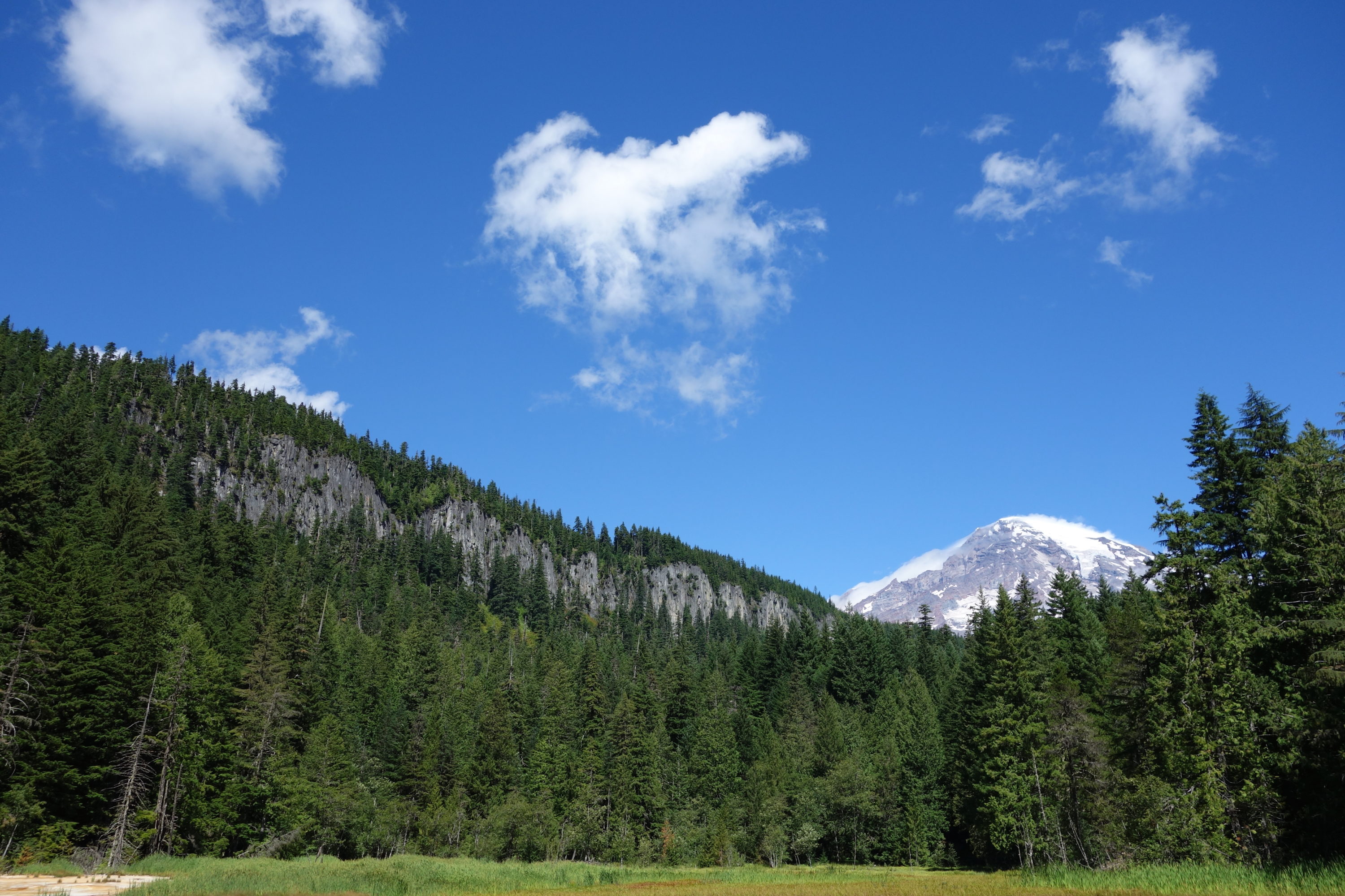 Hiking Mount Rainier National Park