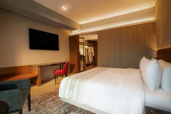 King Guest Room Insurgentes