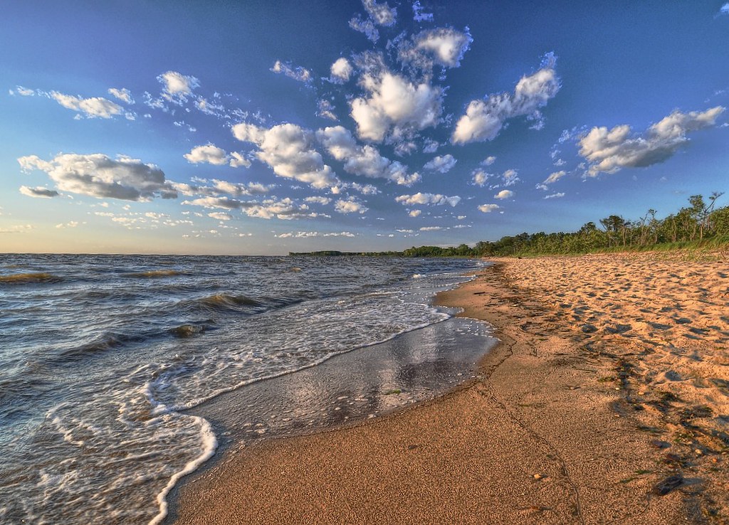 Terrapin Nature Park