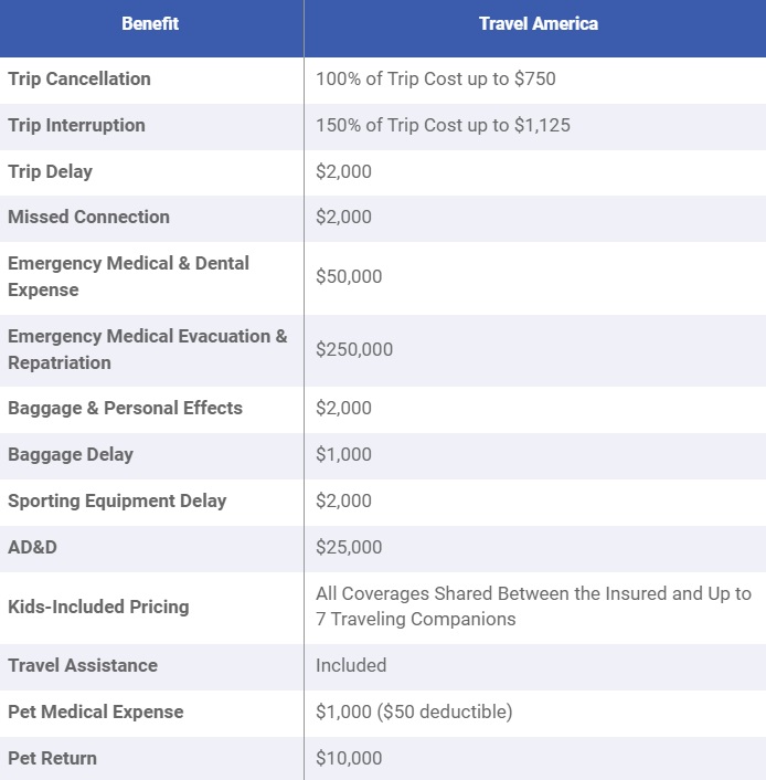Travelex Travel America Plan