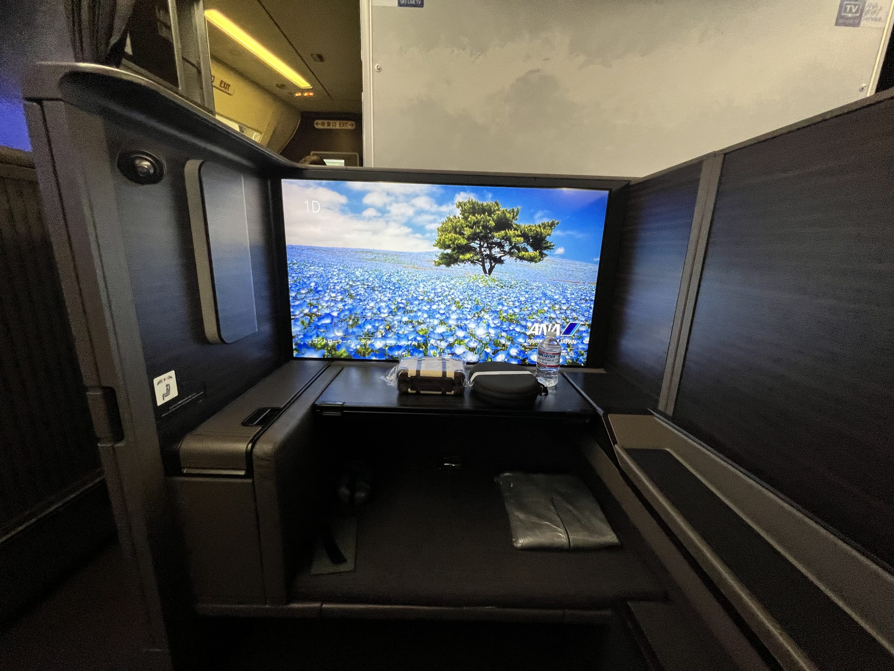 ANA First Class Forward Look