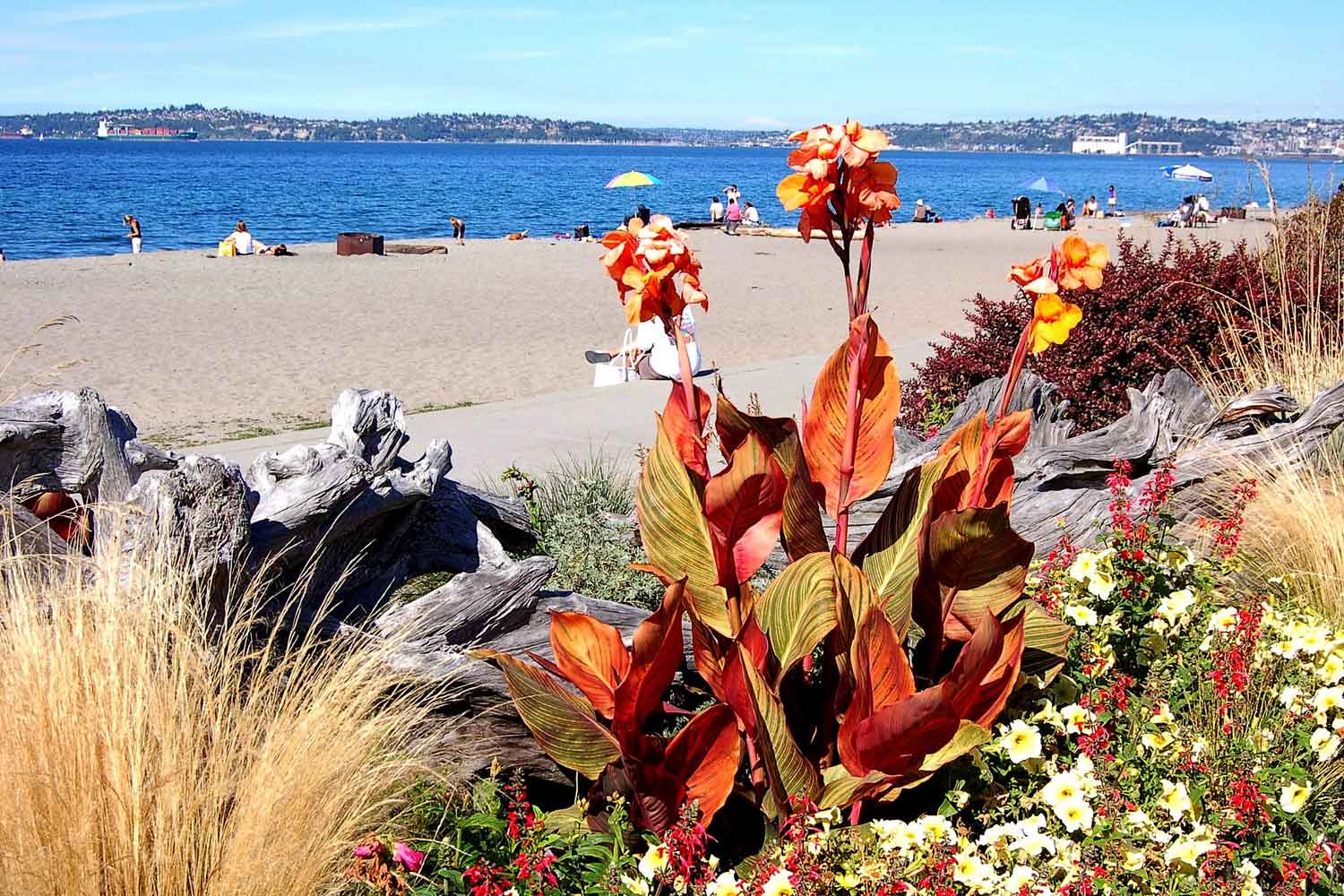 Alki Beach Alki Beach