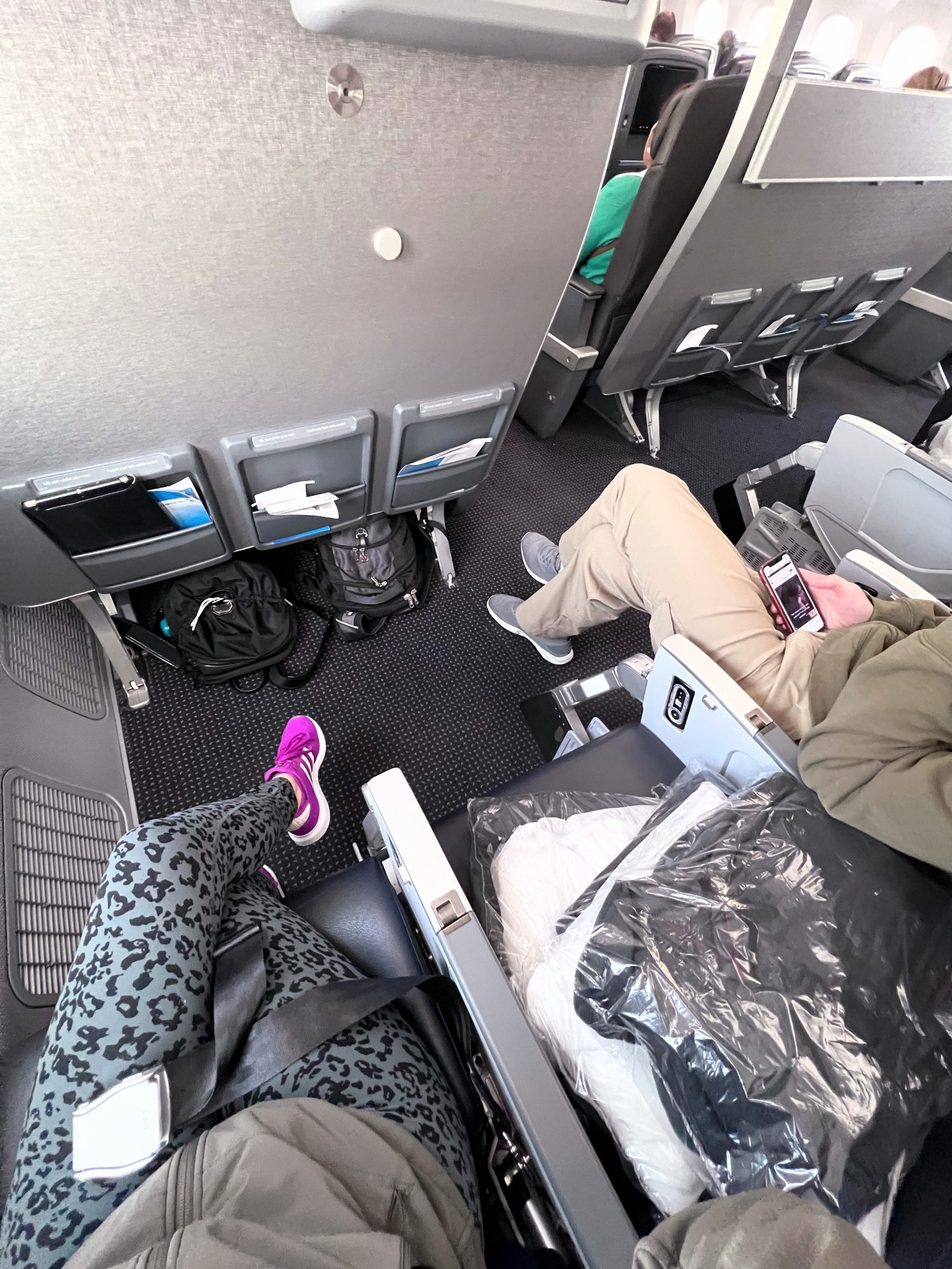 American Airlines Main Cabin Extra row 10 on Boeing 787