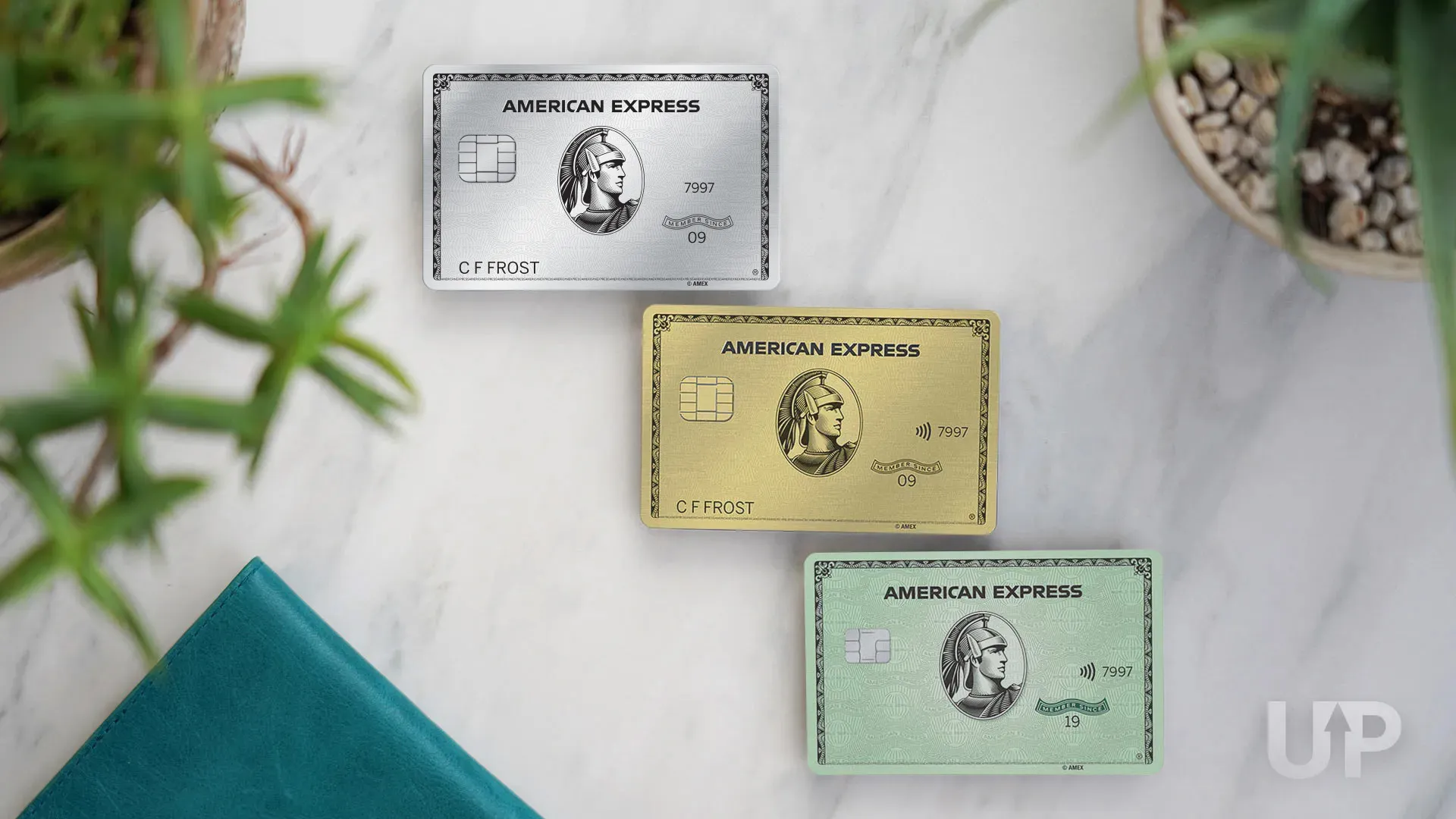 Amex Platinum Amex Gold Amex Green Cards Upgraded Points LLC Amex Platinum Amex Gold Amex Green Cards Upgraded Points LLC