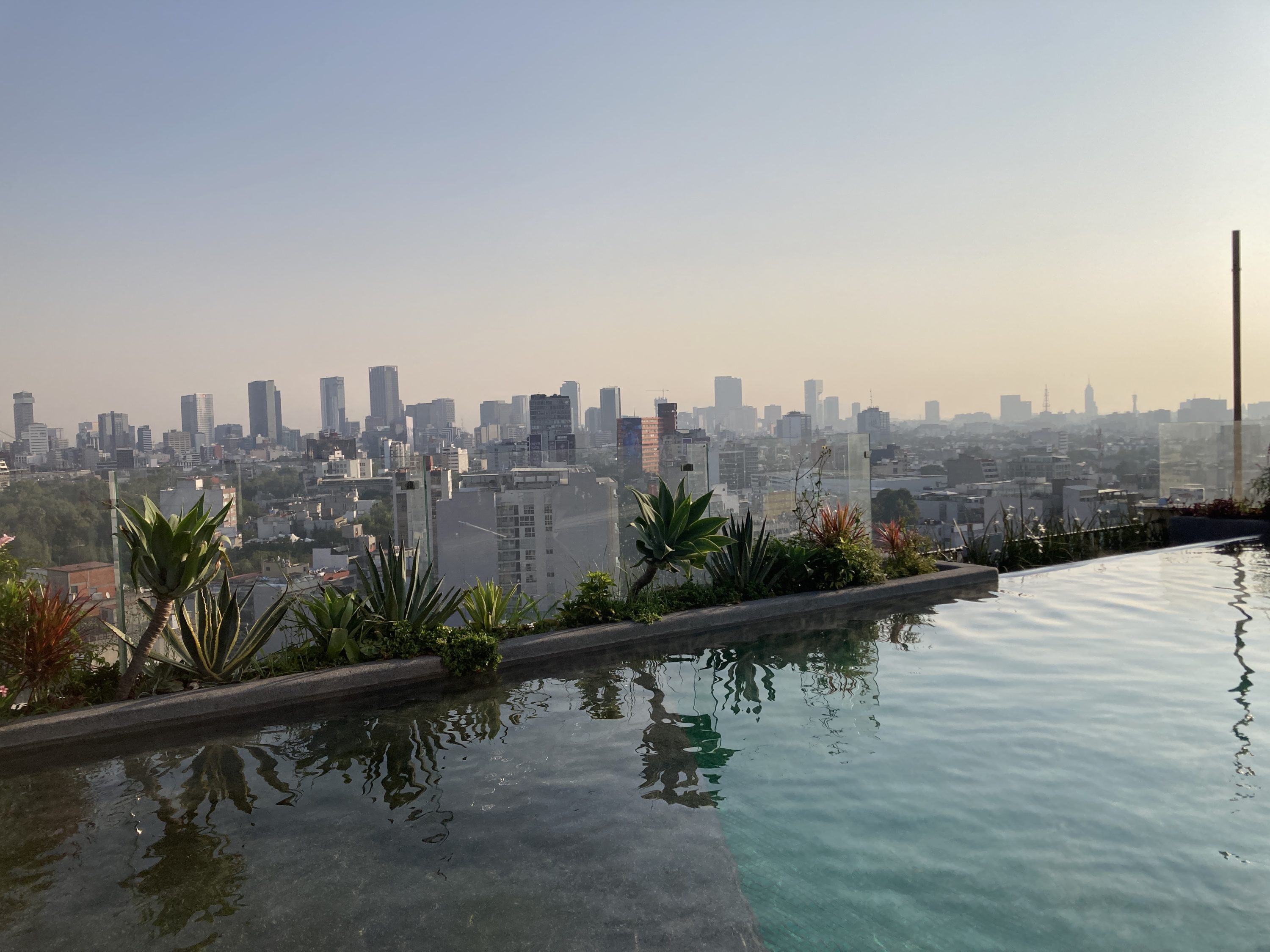 Andaz Mexico City Condesa rooftop pool Andaz Mexico City Condesa rooftop pool
