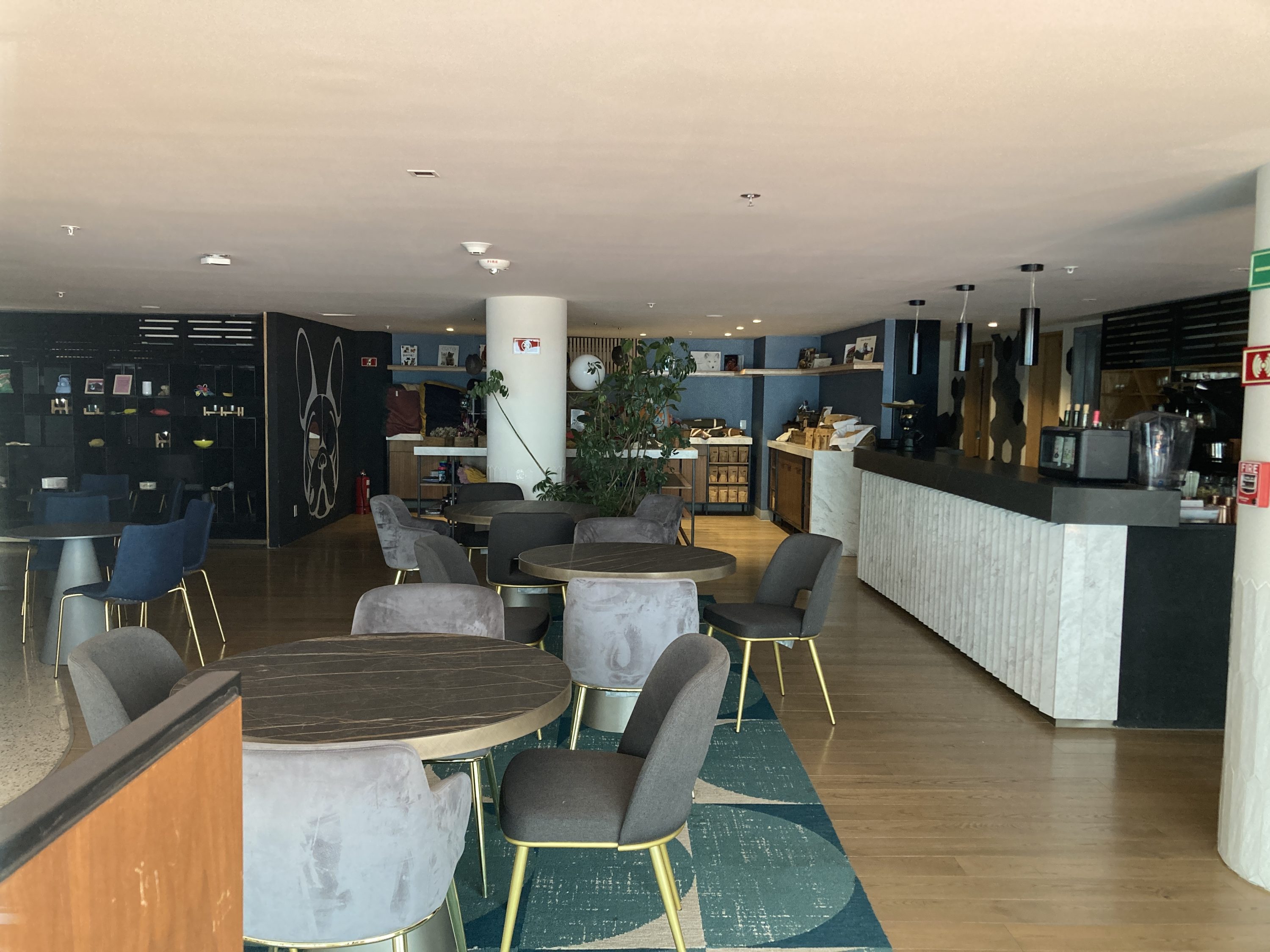 Andaz Mexico City Condesa Wooftop overview Andaz Mexico City Condesa Wooftop overview