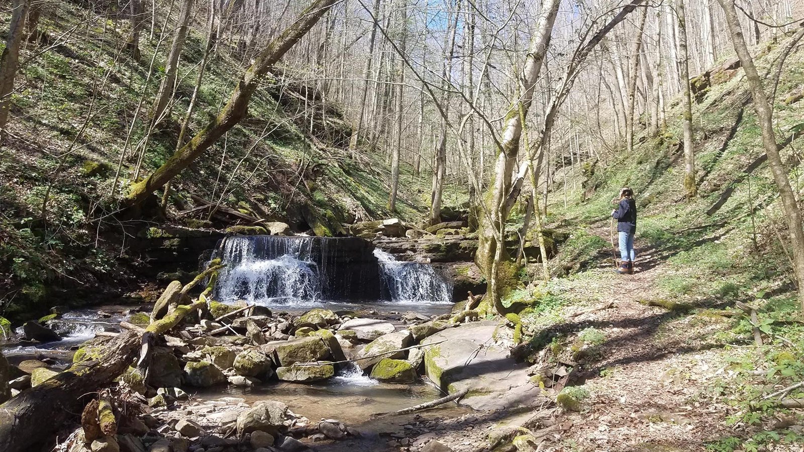 Big Branch Trail