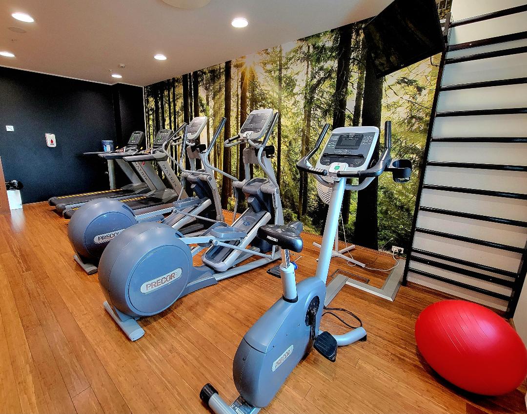 Clarion Hotel Copenhagen Airport Workout Machines