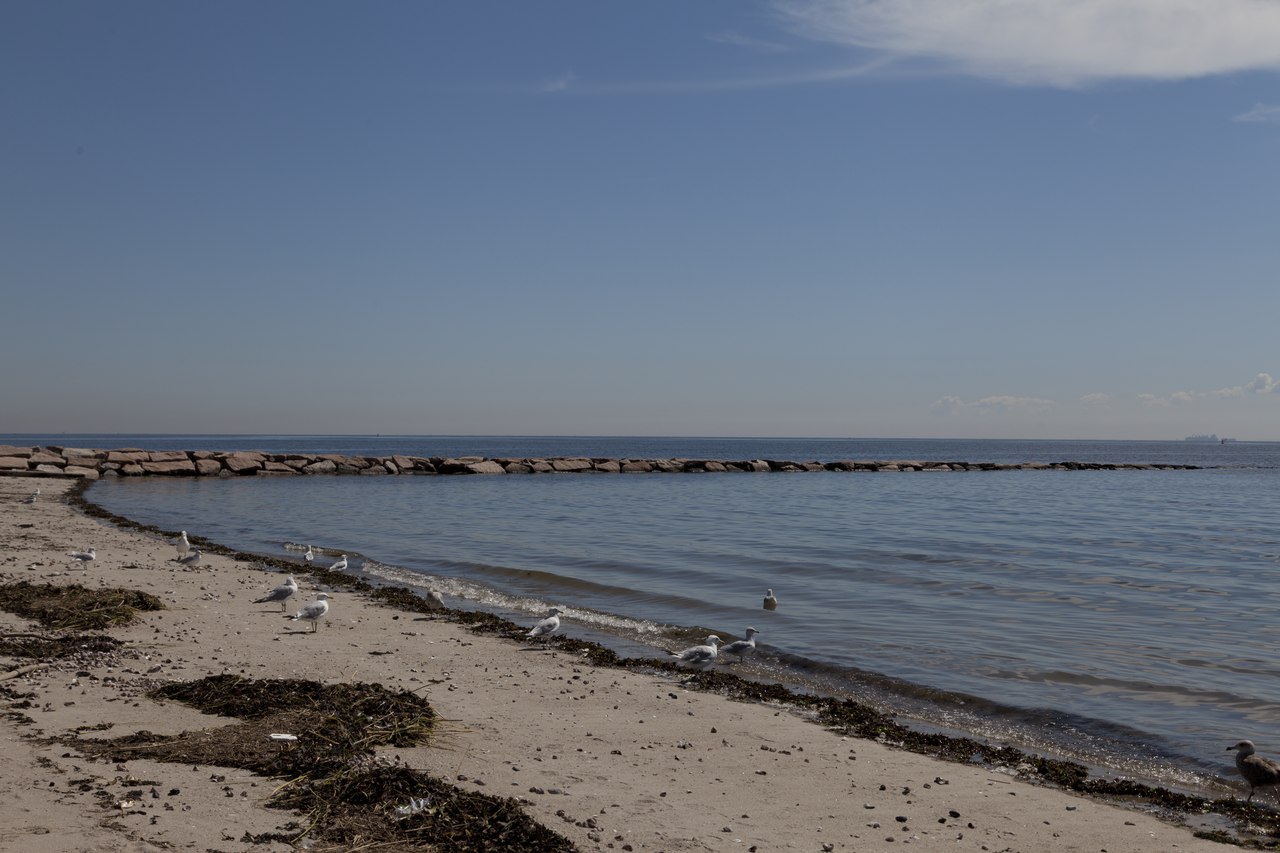 Compo Beach Compo Beach