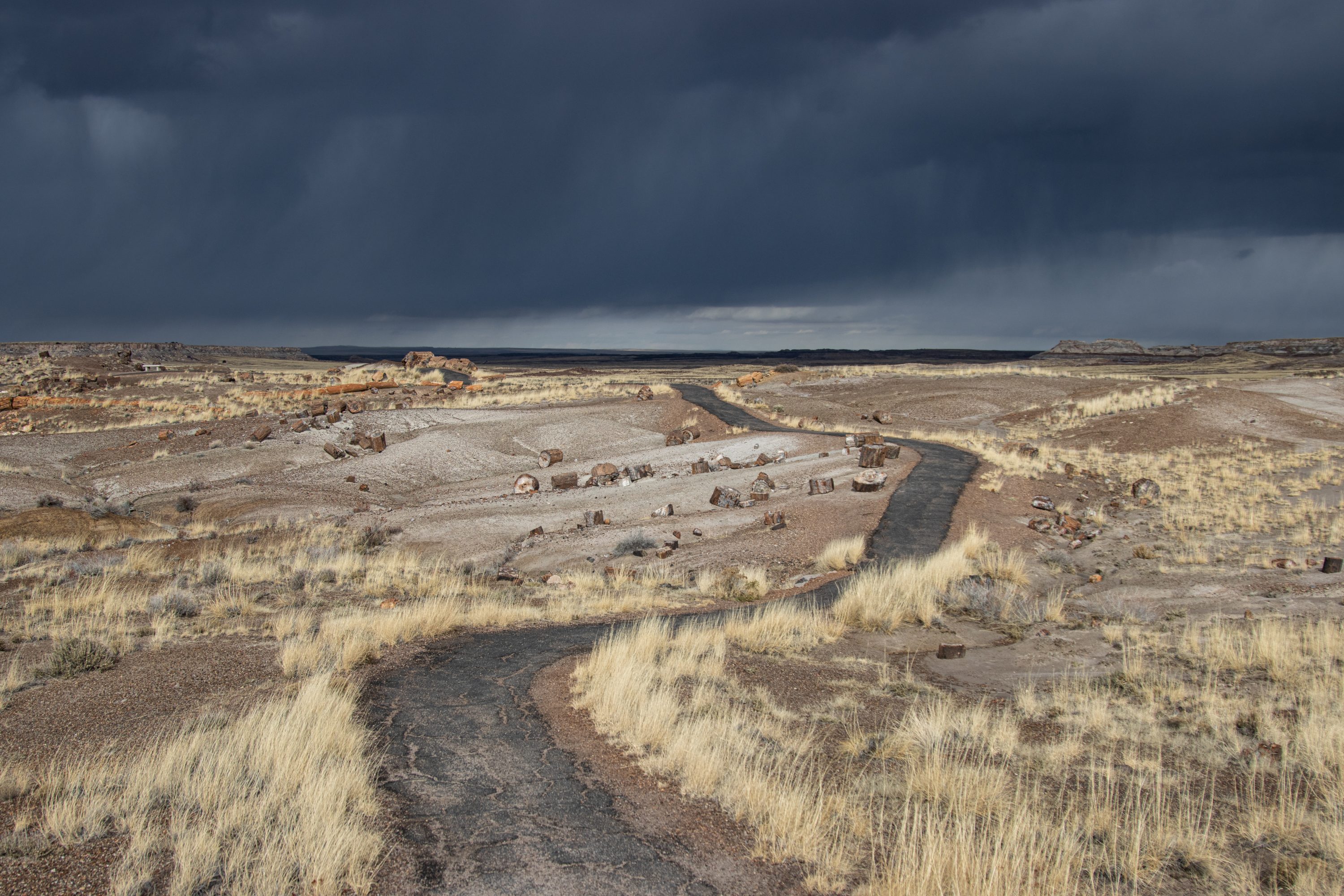 Driving to Petrified Forest National Park