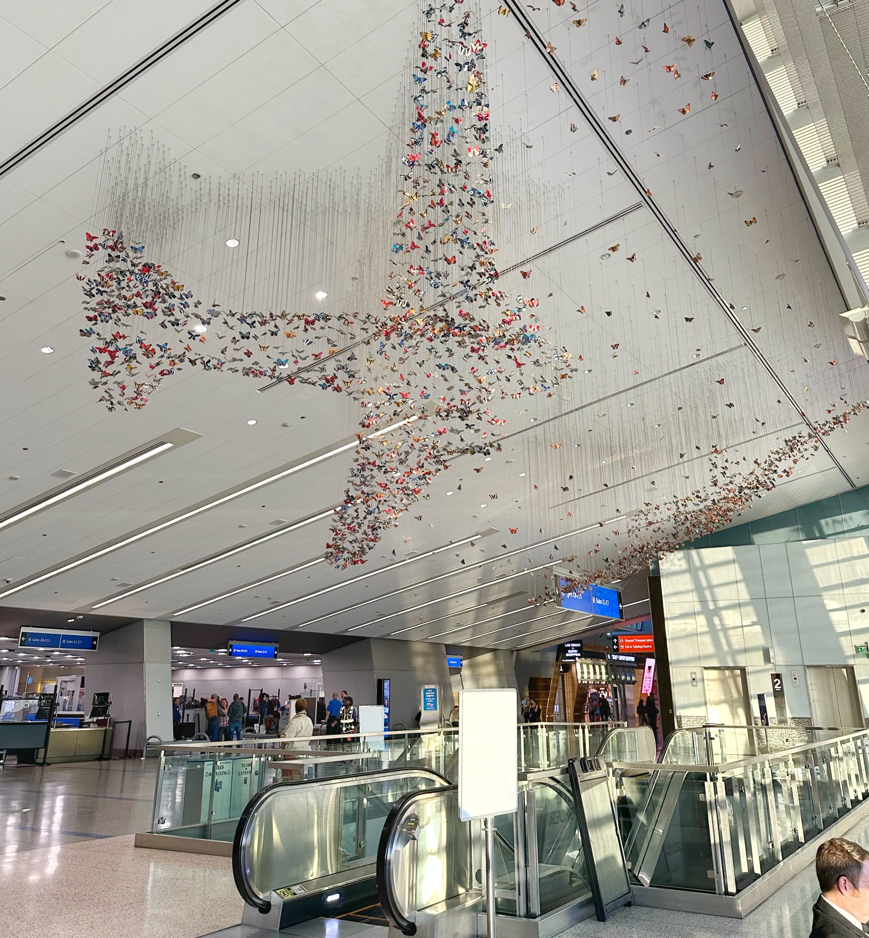 Harry Reid International Airport LAS plane art Harry Reid International Airport LAS plane art