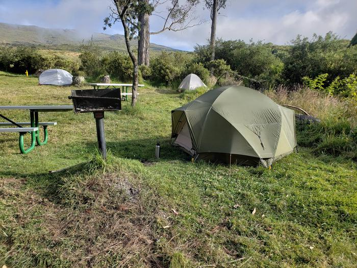 Hosmer Grove Campground