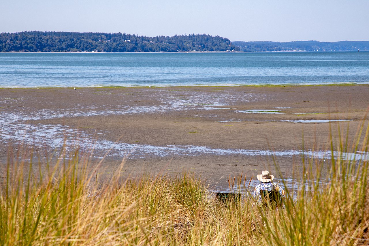 Jetty Island Park Jetty Island Park