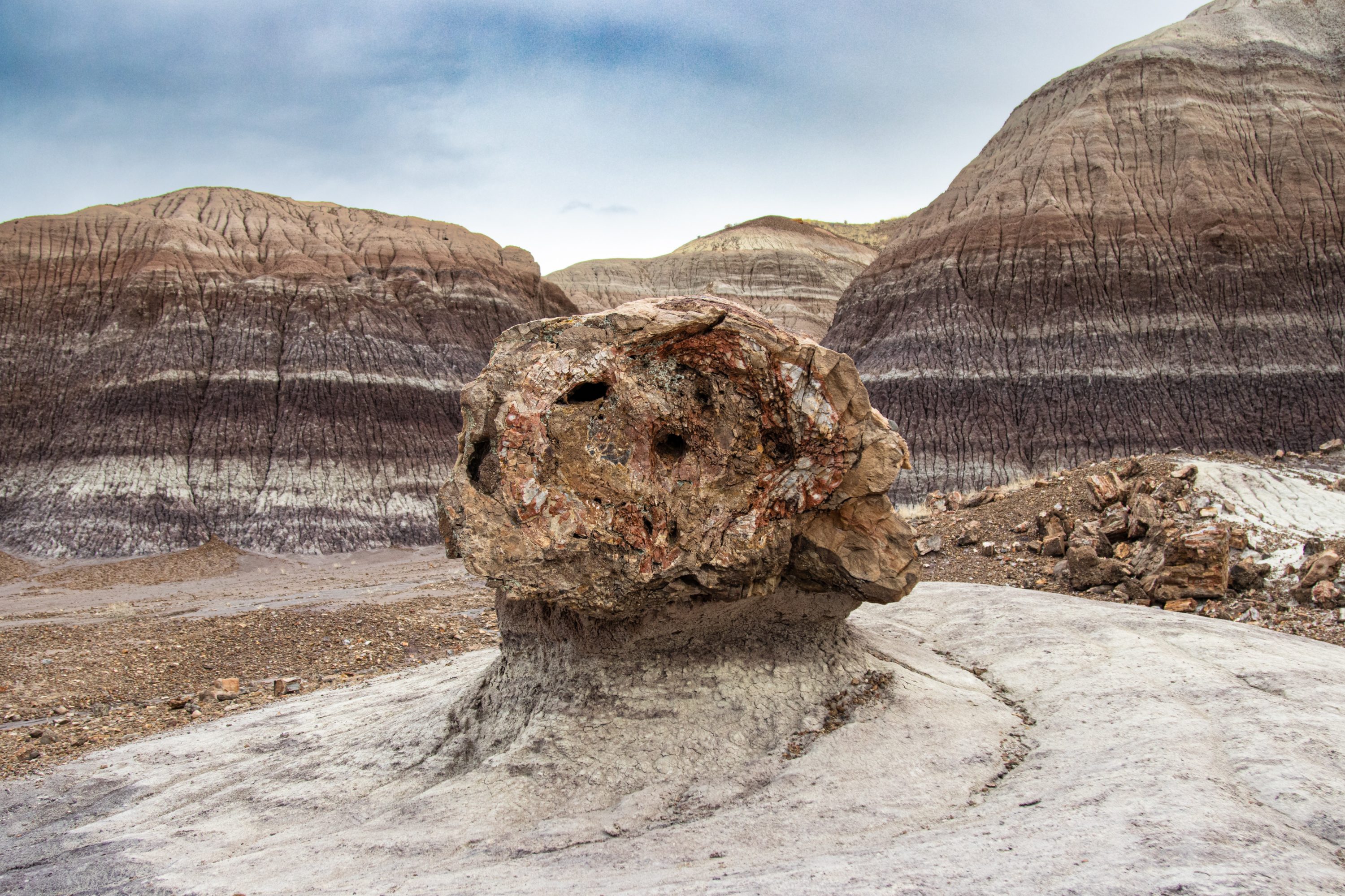 Petrified Forest National Park AZ