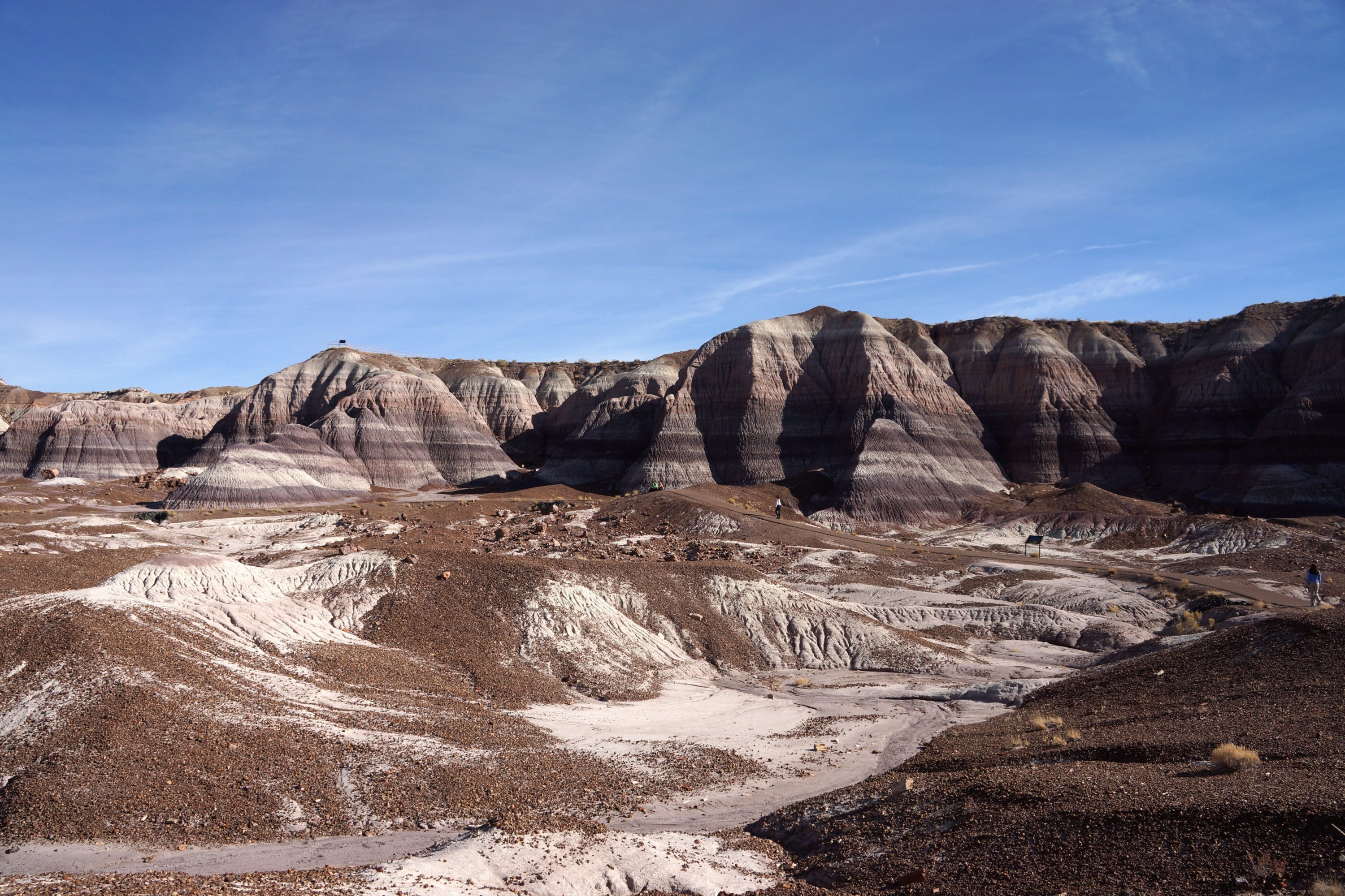 Petrified Forest National Park