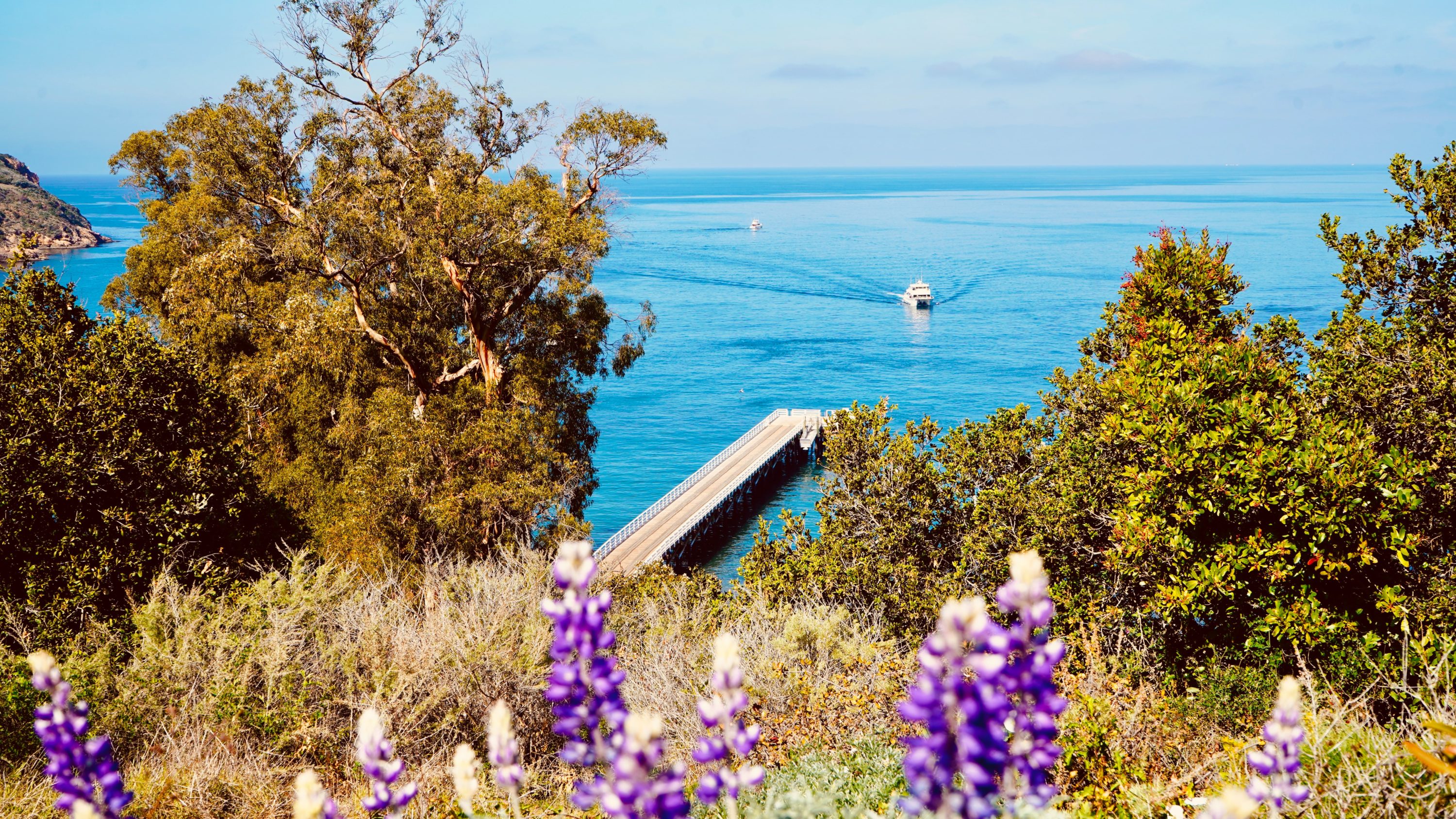 Santa Cruz Island Channel Islands National Park