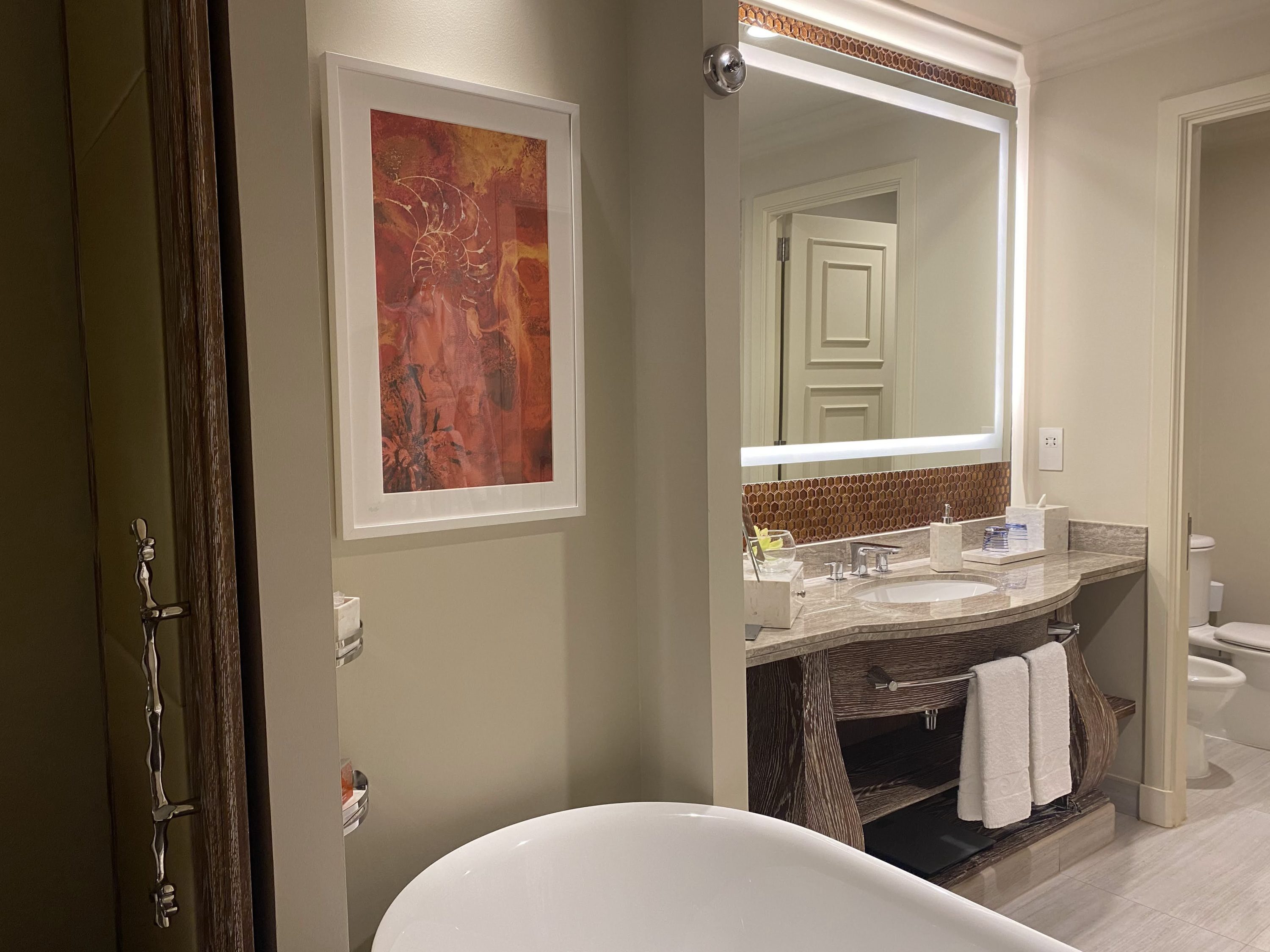 The bathroom sink and tub
