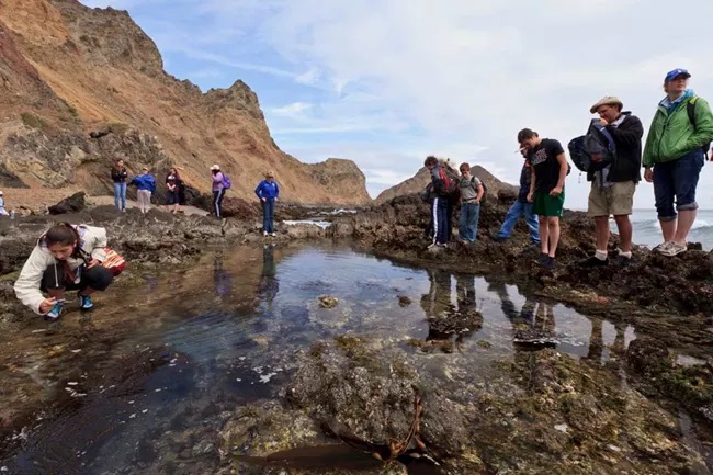 Tidepooling Channel Islands National Park