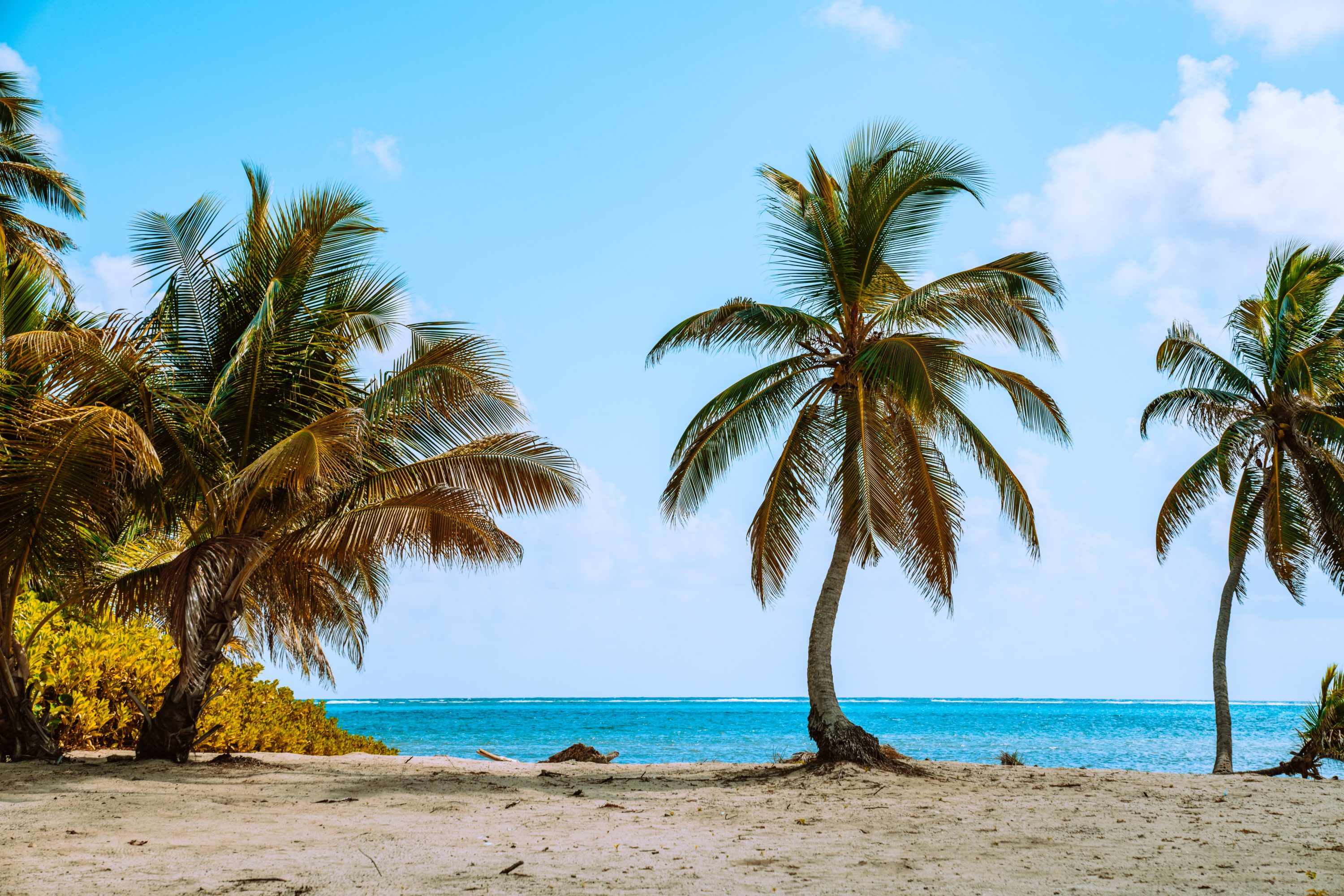 Ambergris Caye