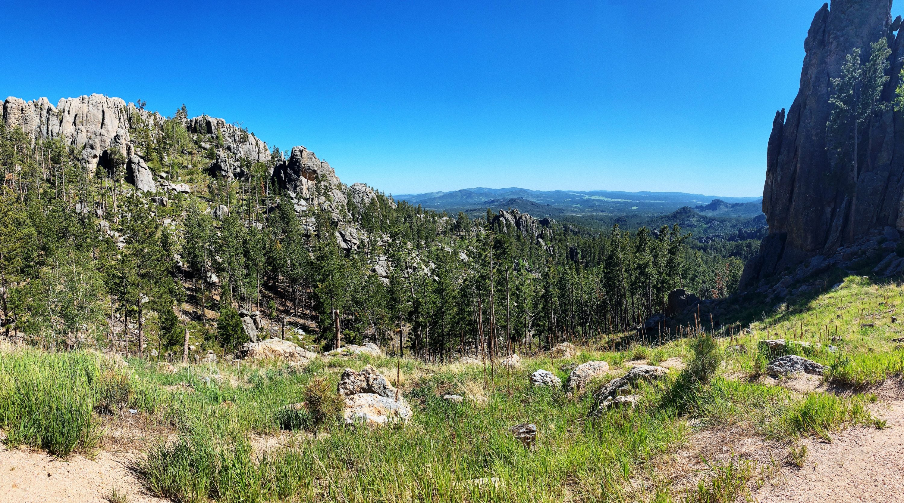 Black Hills of South Dakota